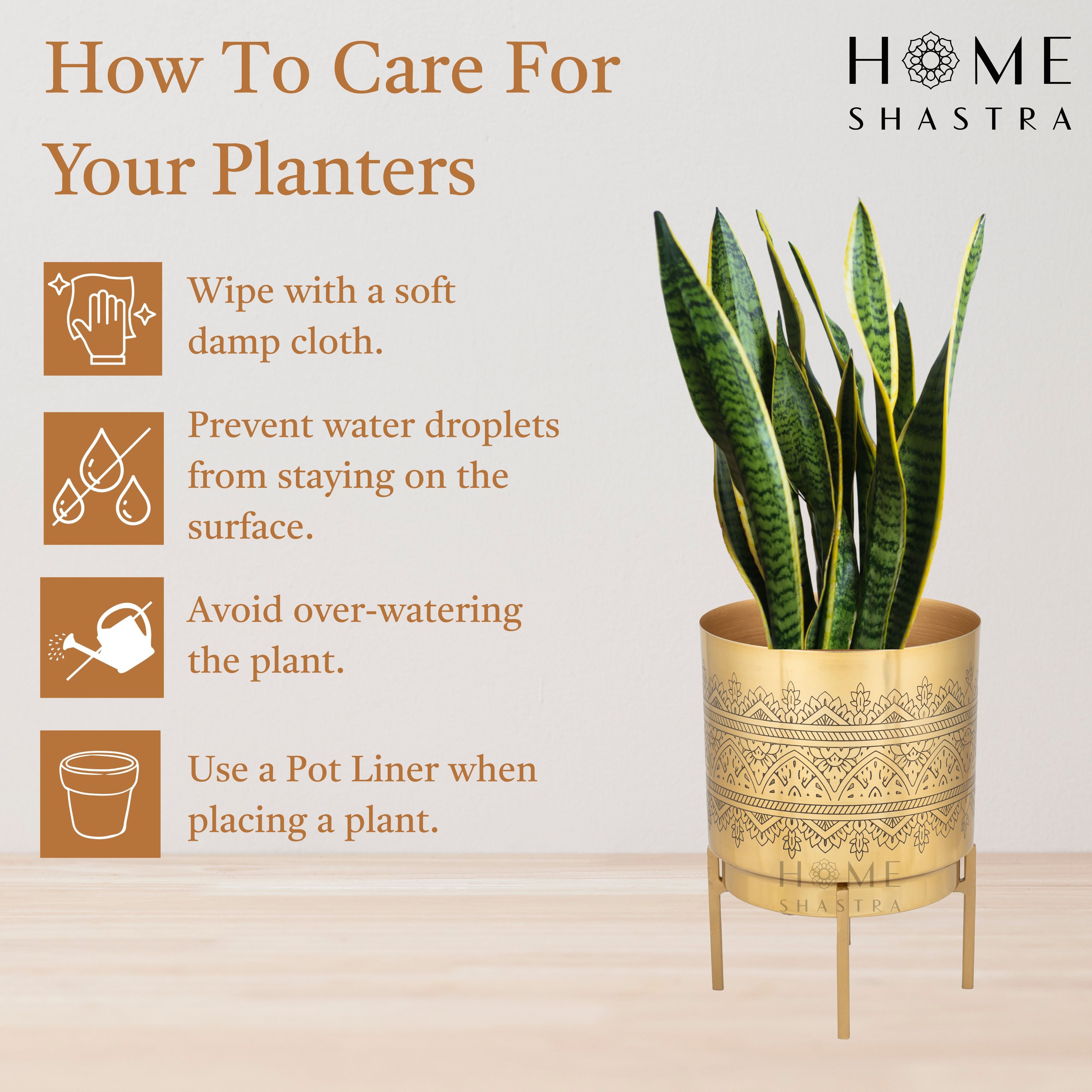 Big Raaga Gold (Pack of 1)