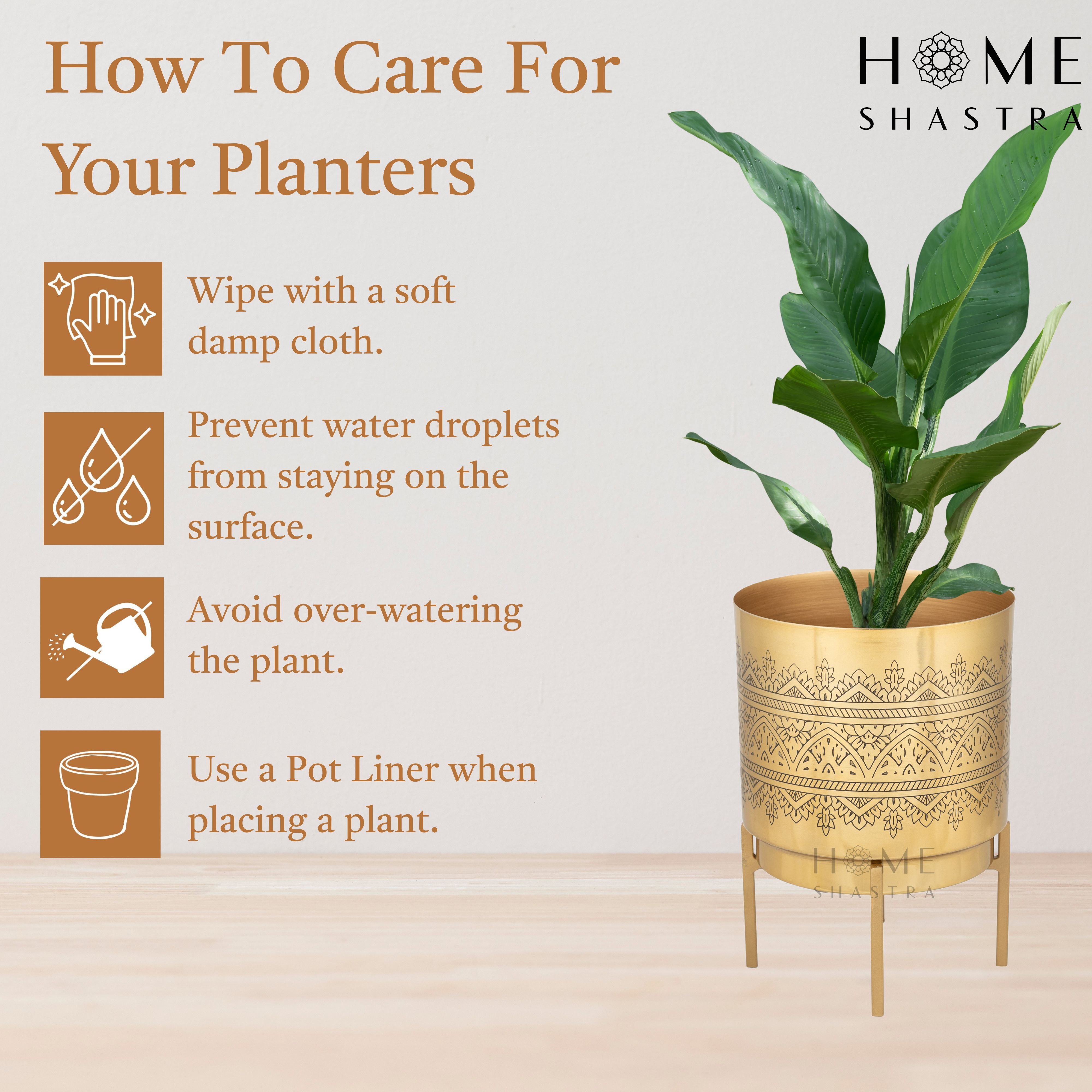 Raaga Gold (Set of 2)