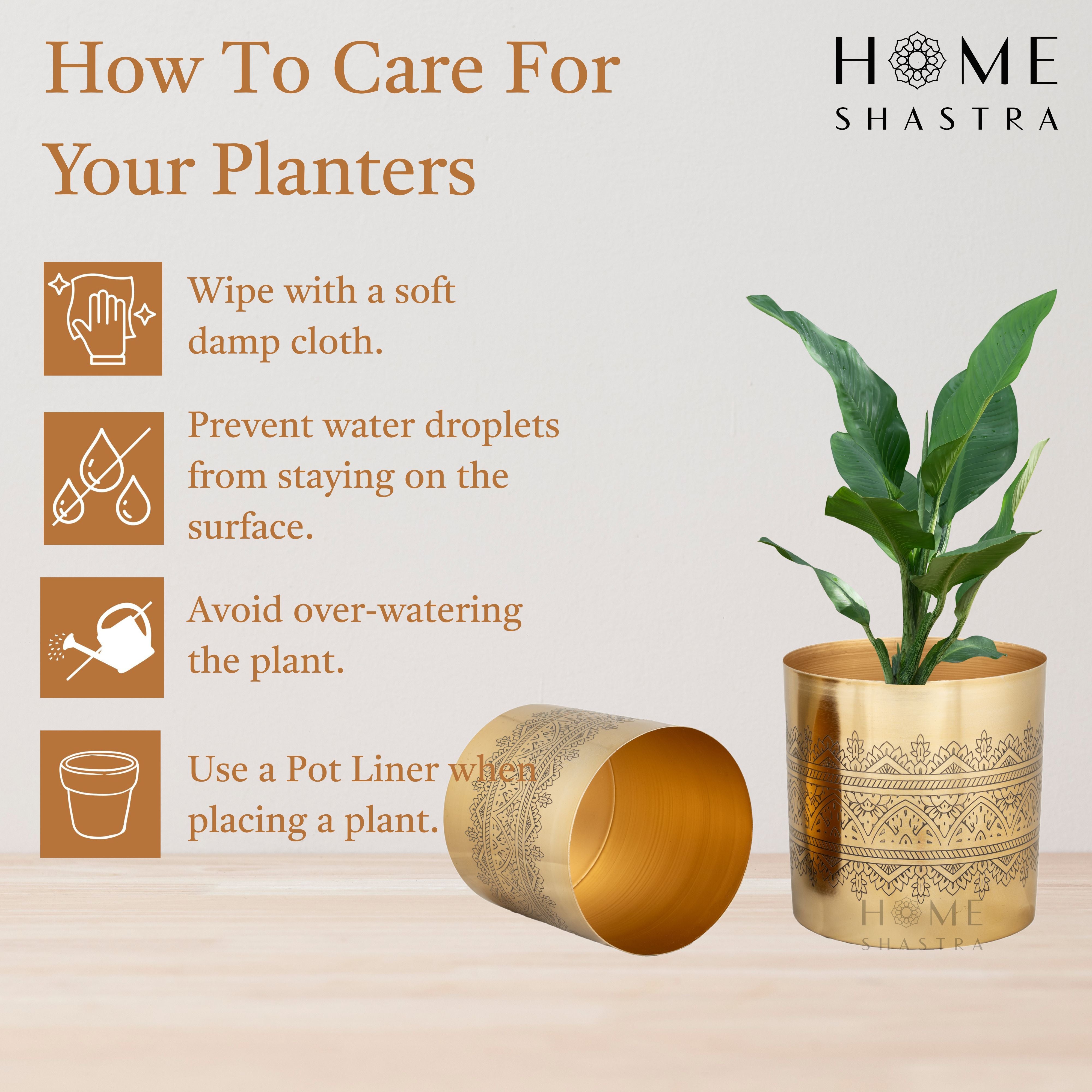 Swar Gold (Set of 2)