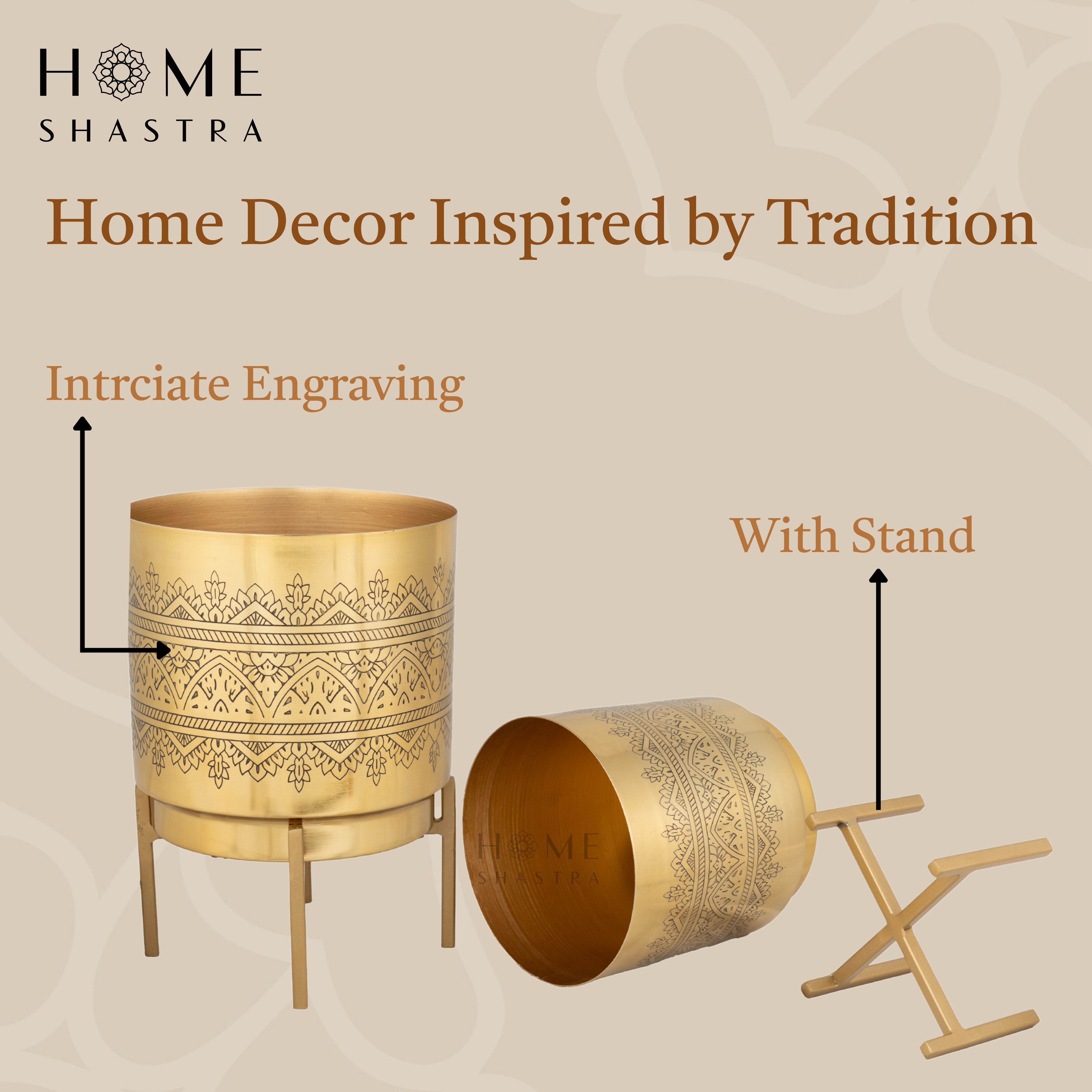 Raaga Gold (Set of 2)