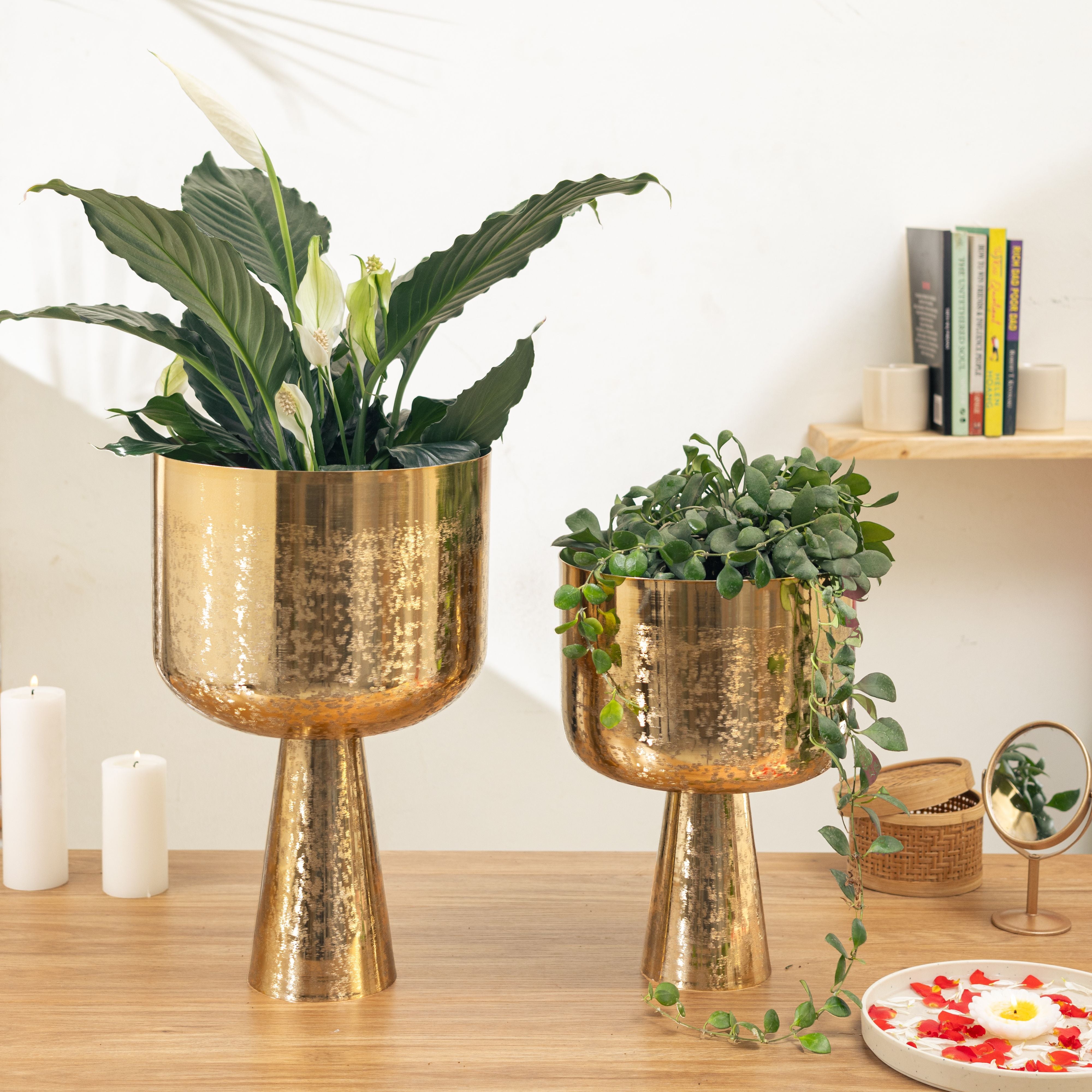 Aureme Gold (Set of 2)