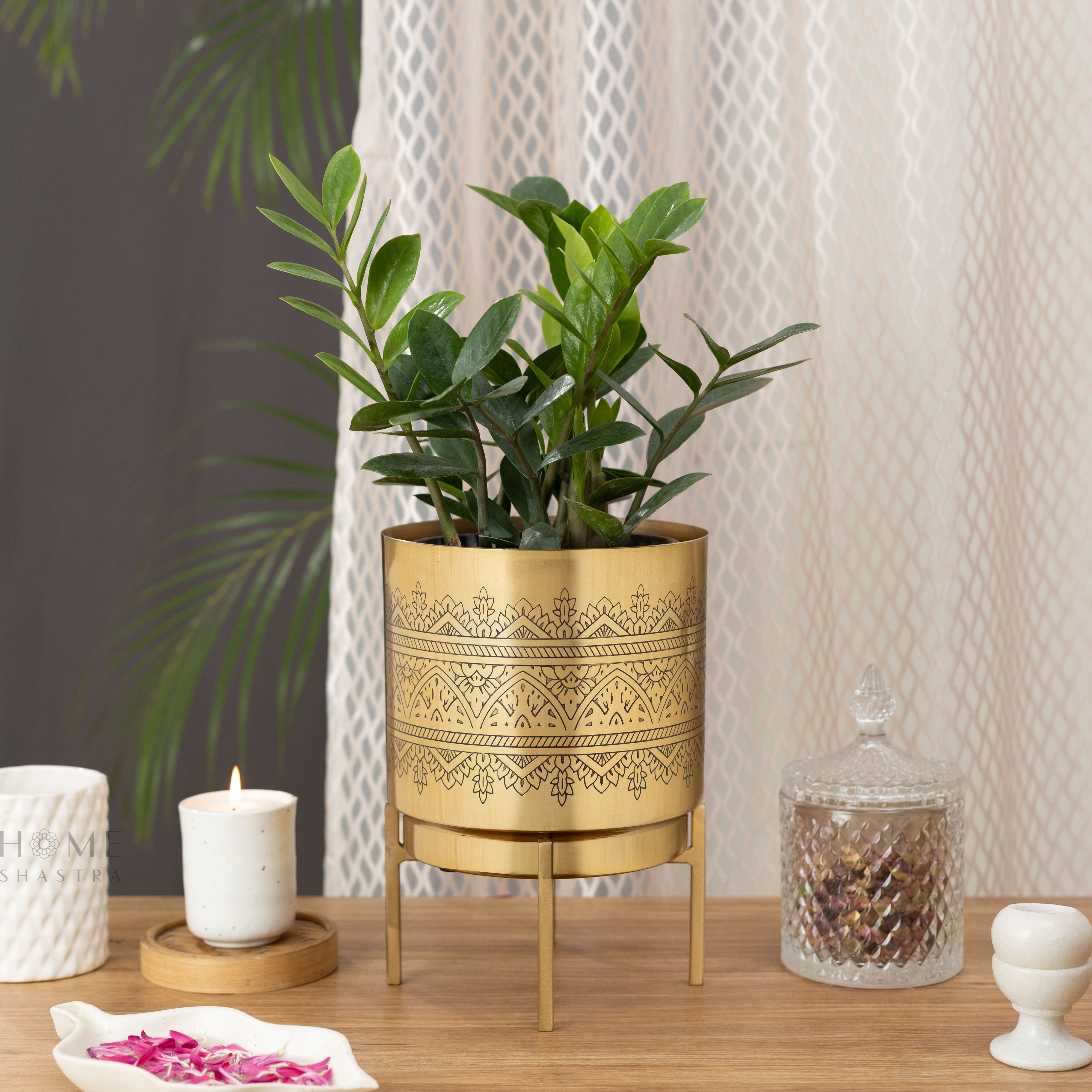 Big Raaga Gold (Pack of 1)