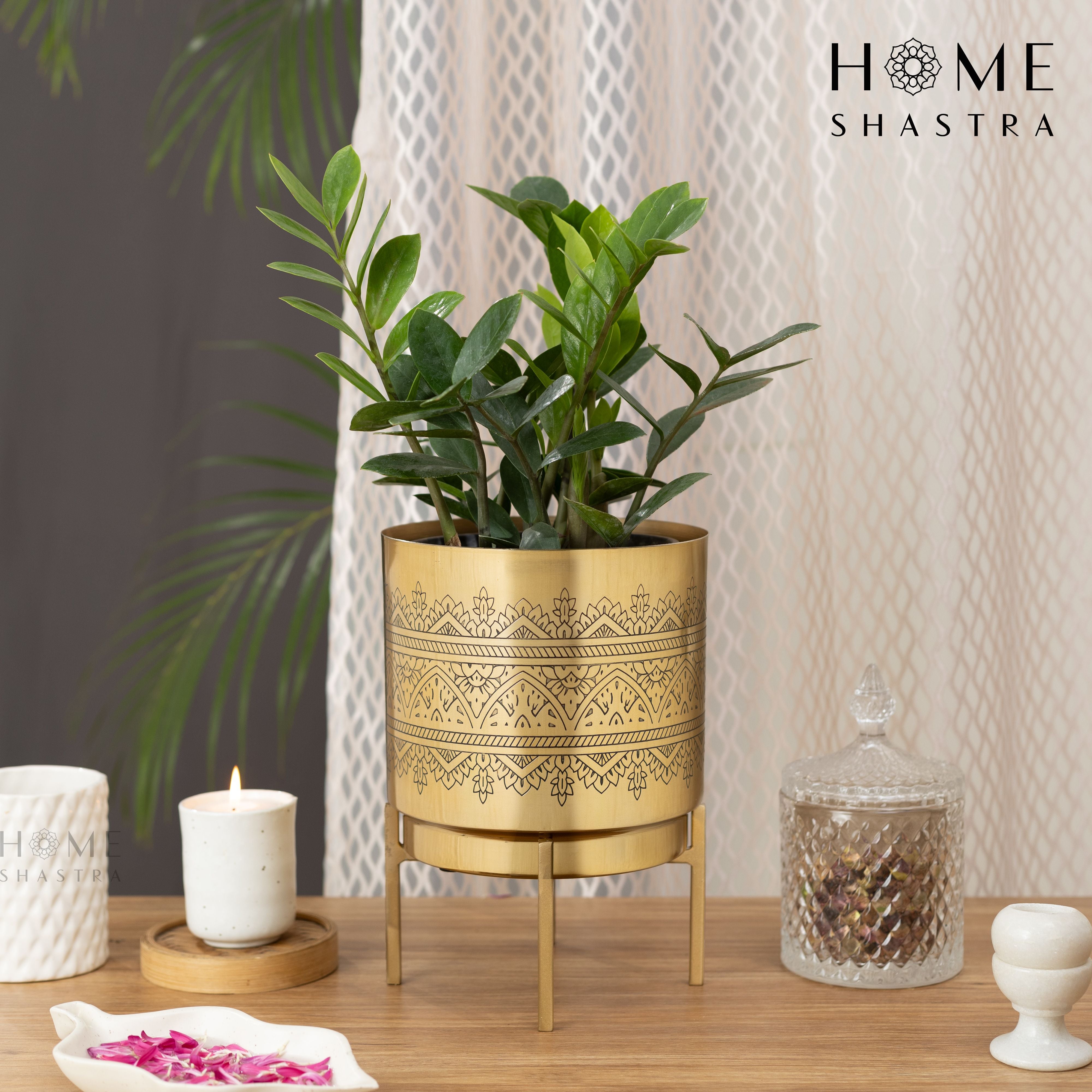 Big Raaga Gold (Pack of 1)