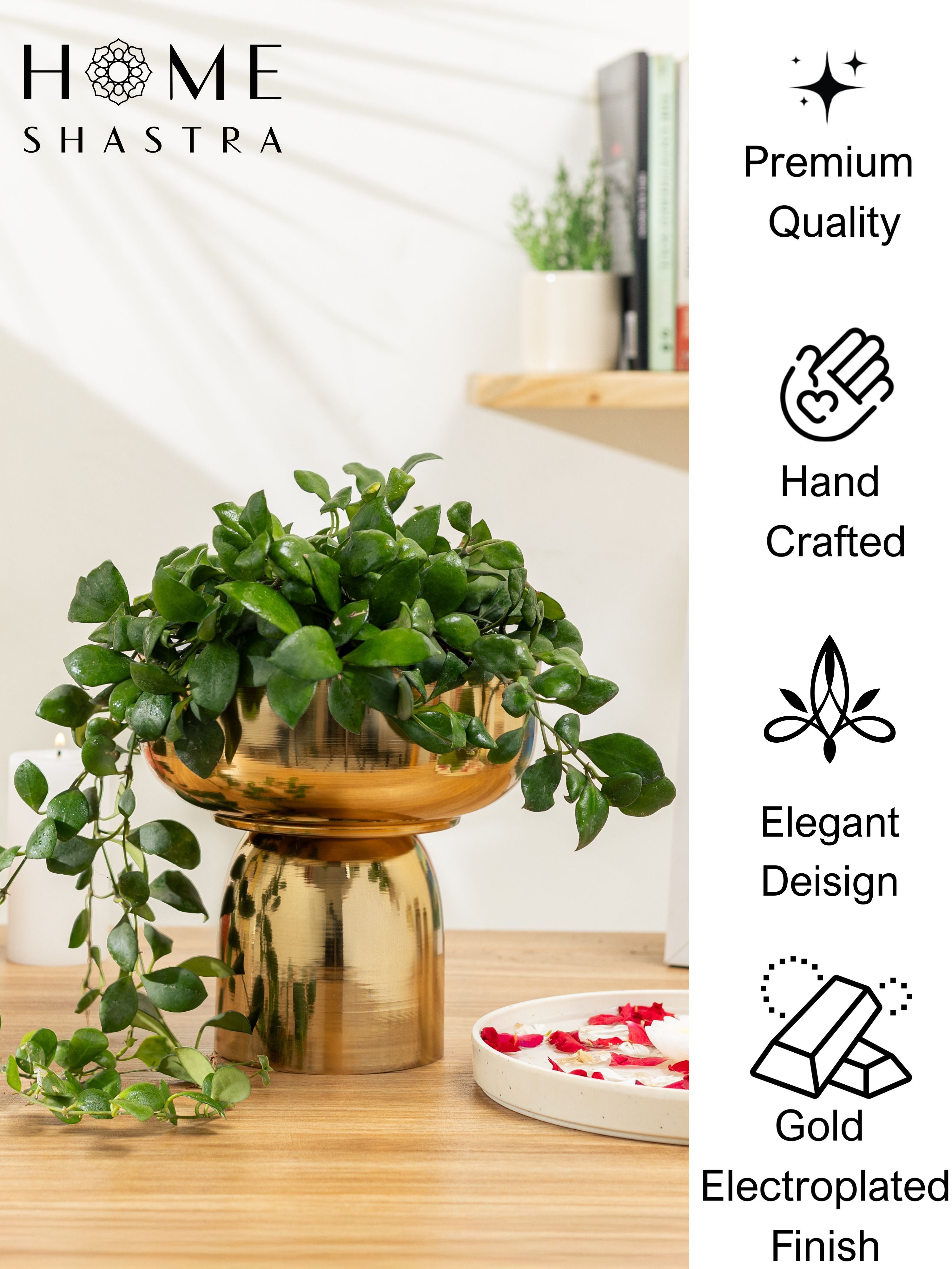 Fern Gold (Pack of 1)