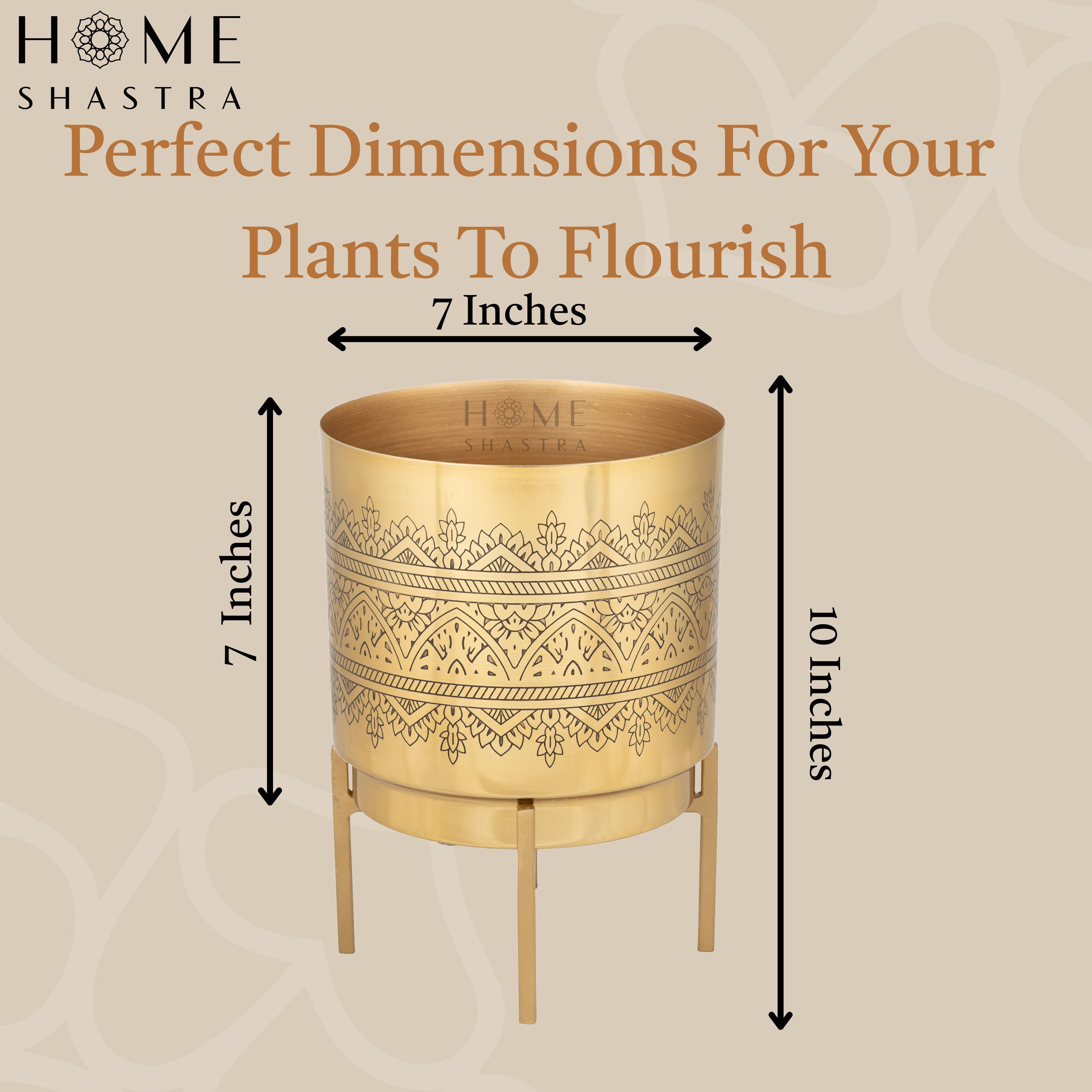 Big Raaga Gold (Pack of 1)