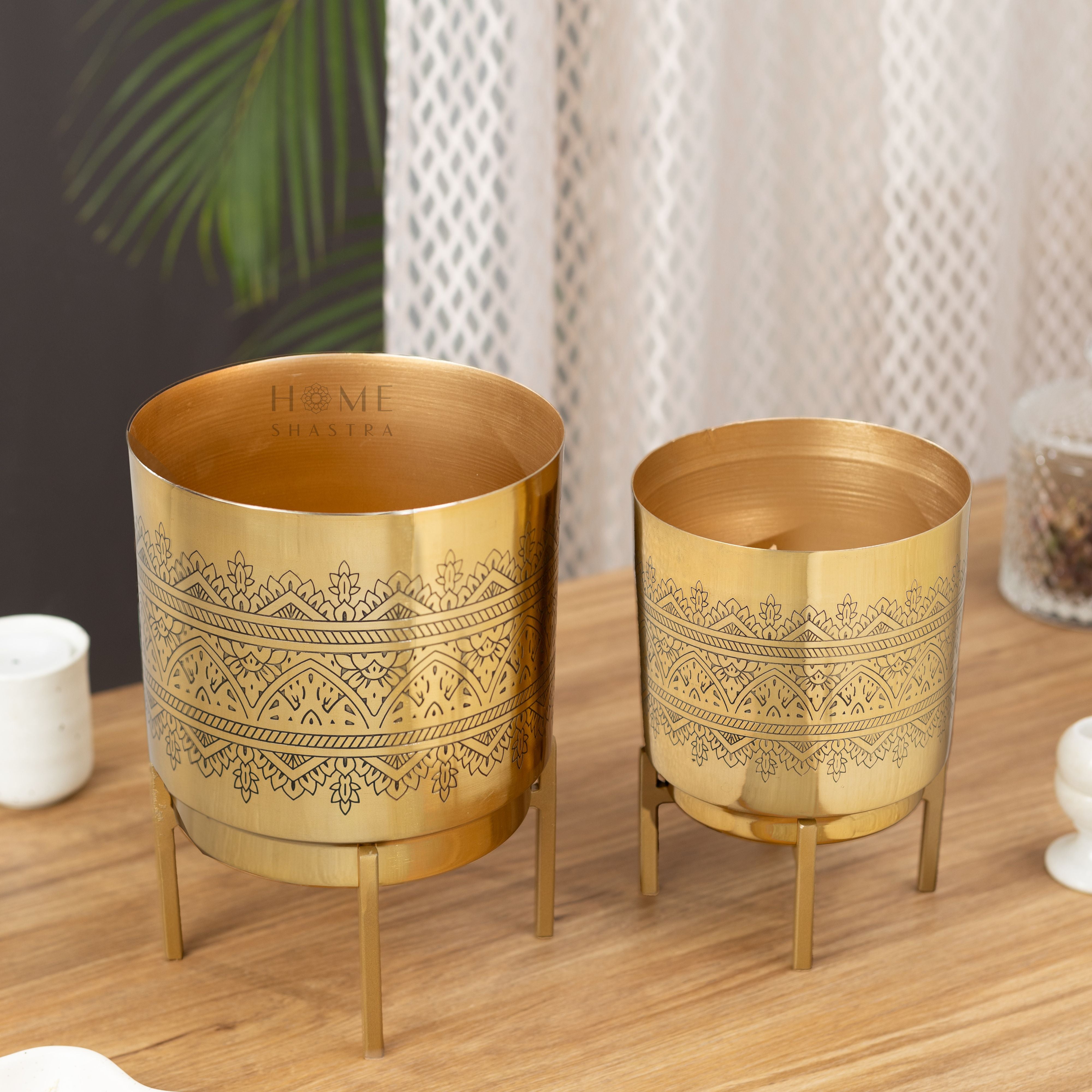 Raaga Gold (Set of 2)