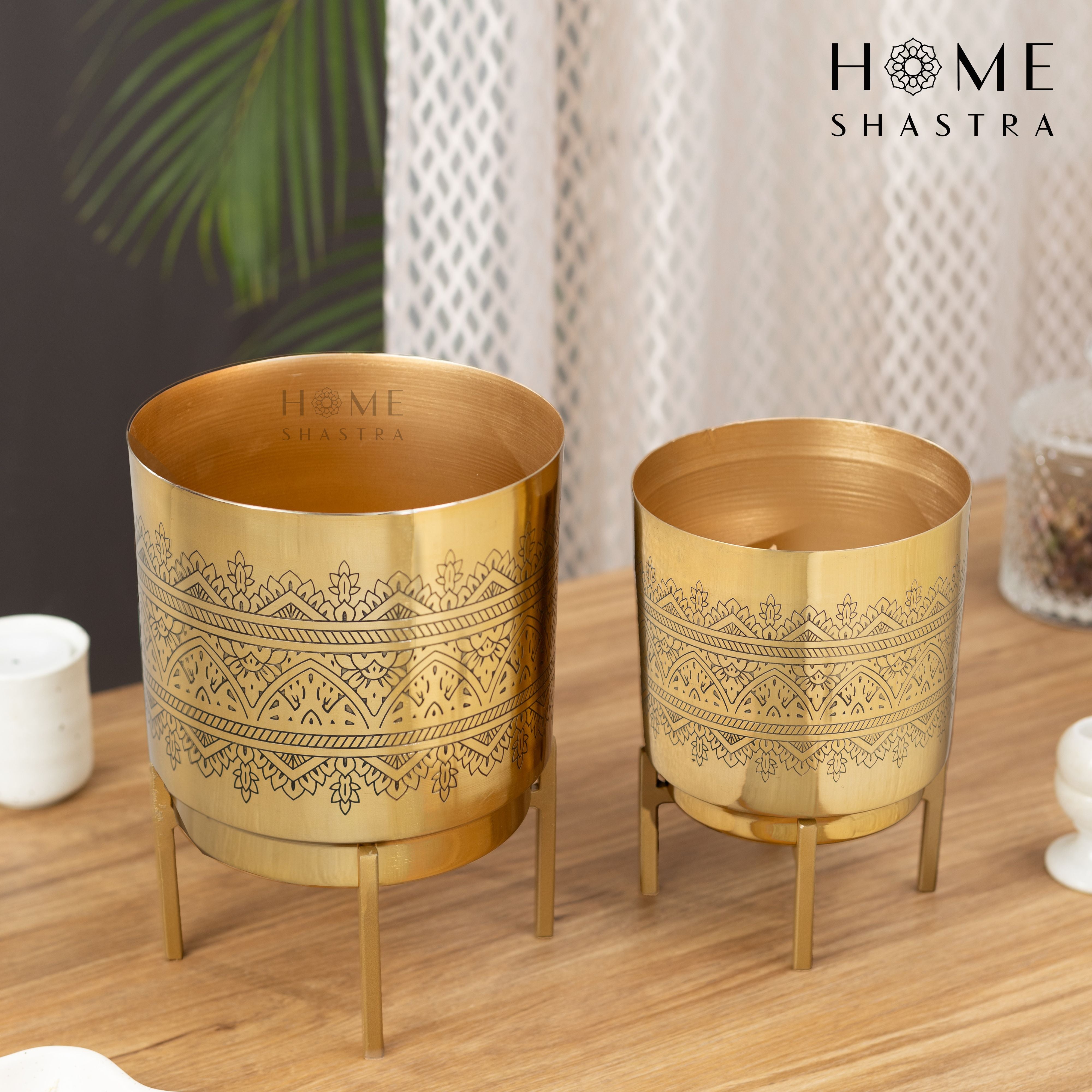 Raaga Gold (Set of 2)