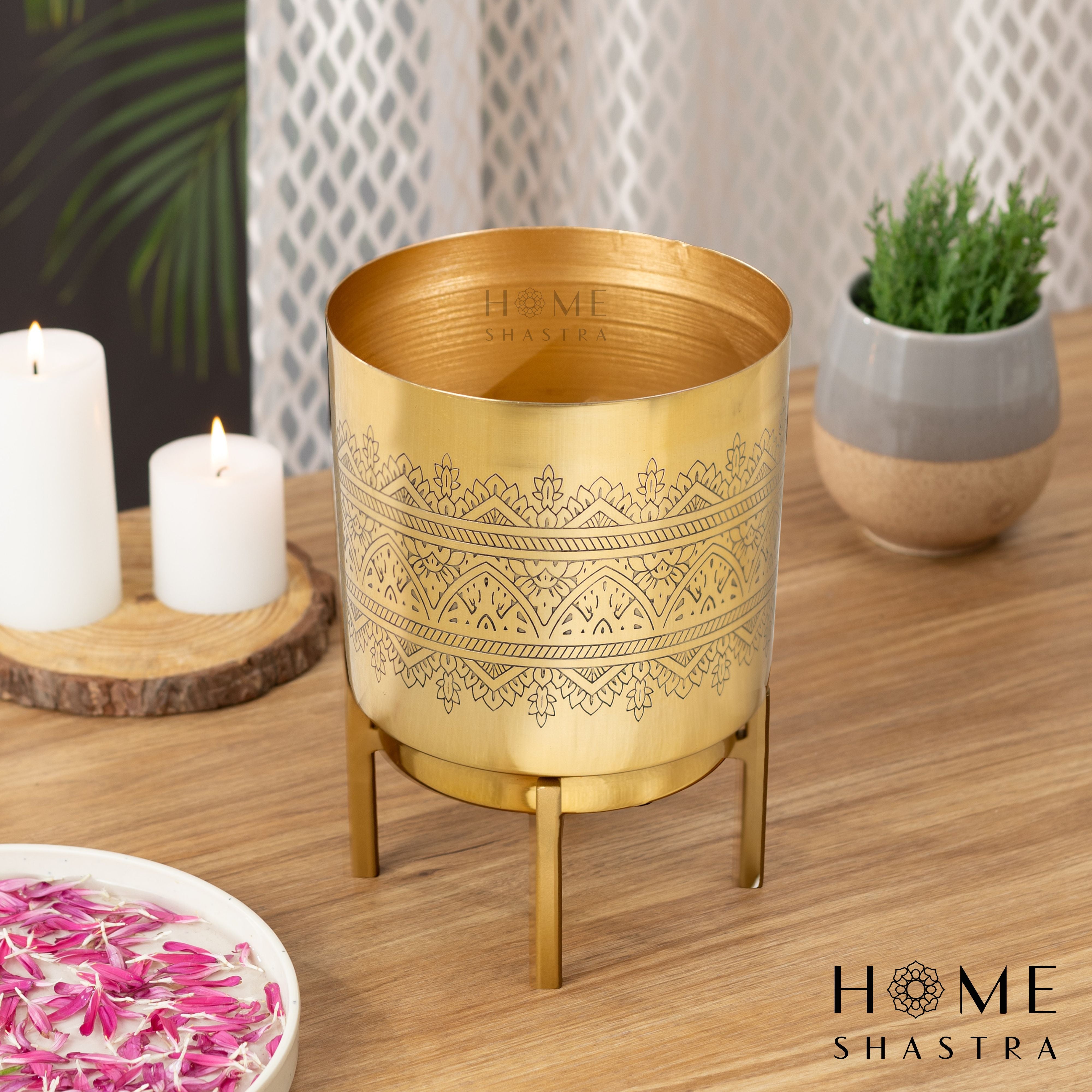 Small Raaga Gold (Pack of 1)