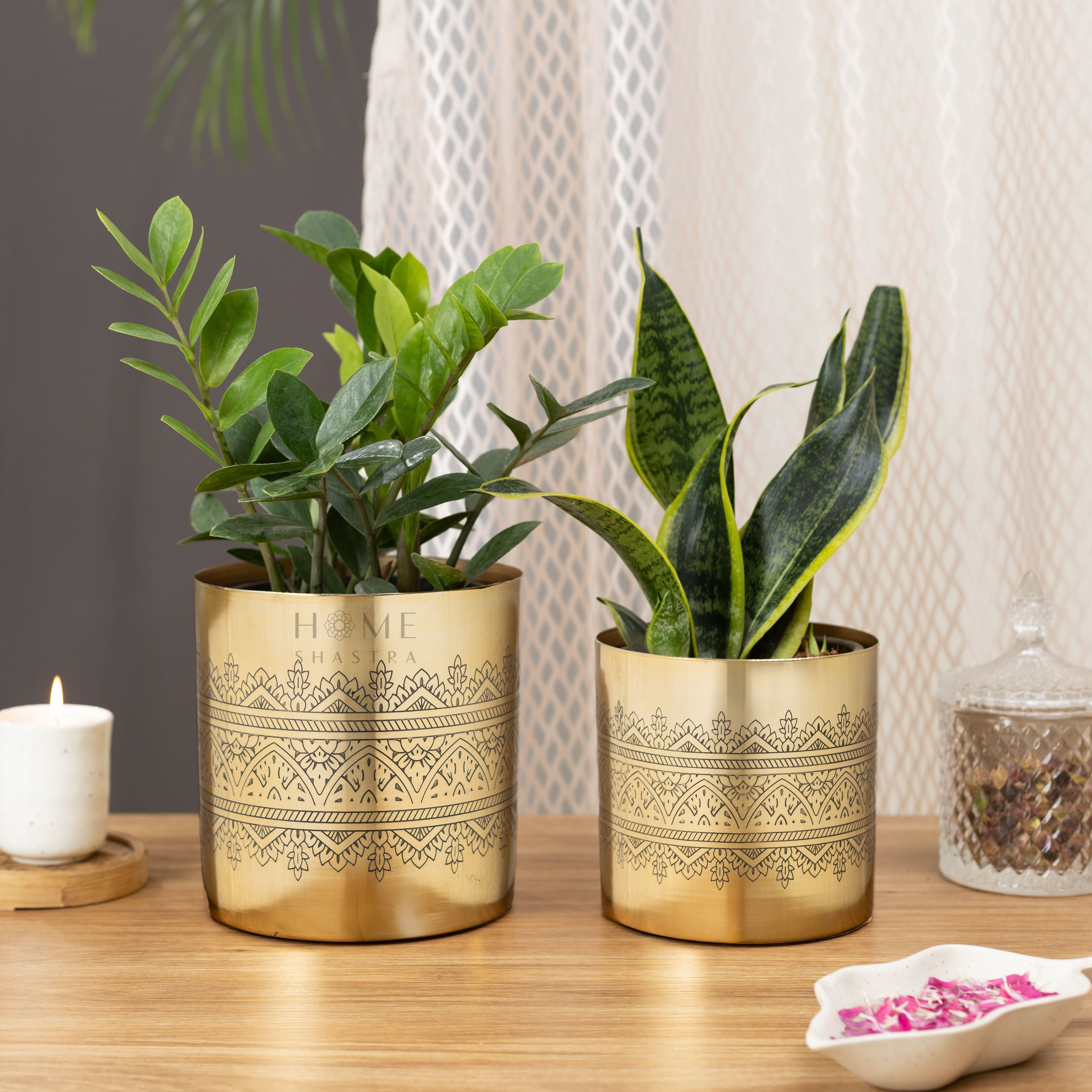 Swar Gold (Set of 2)