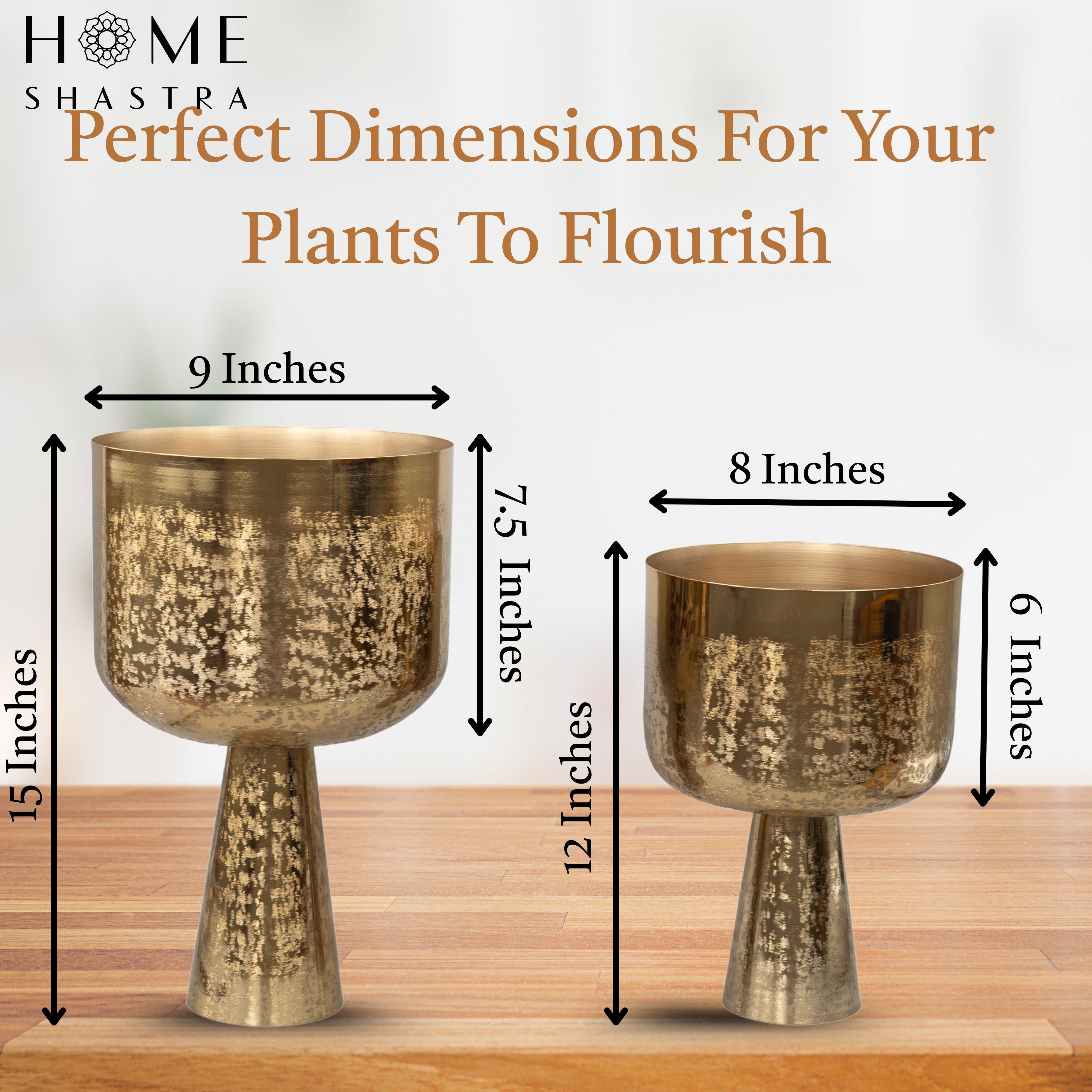 Aureme Gold (Set of 2)