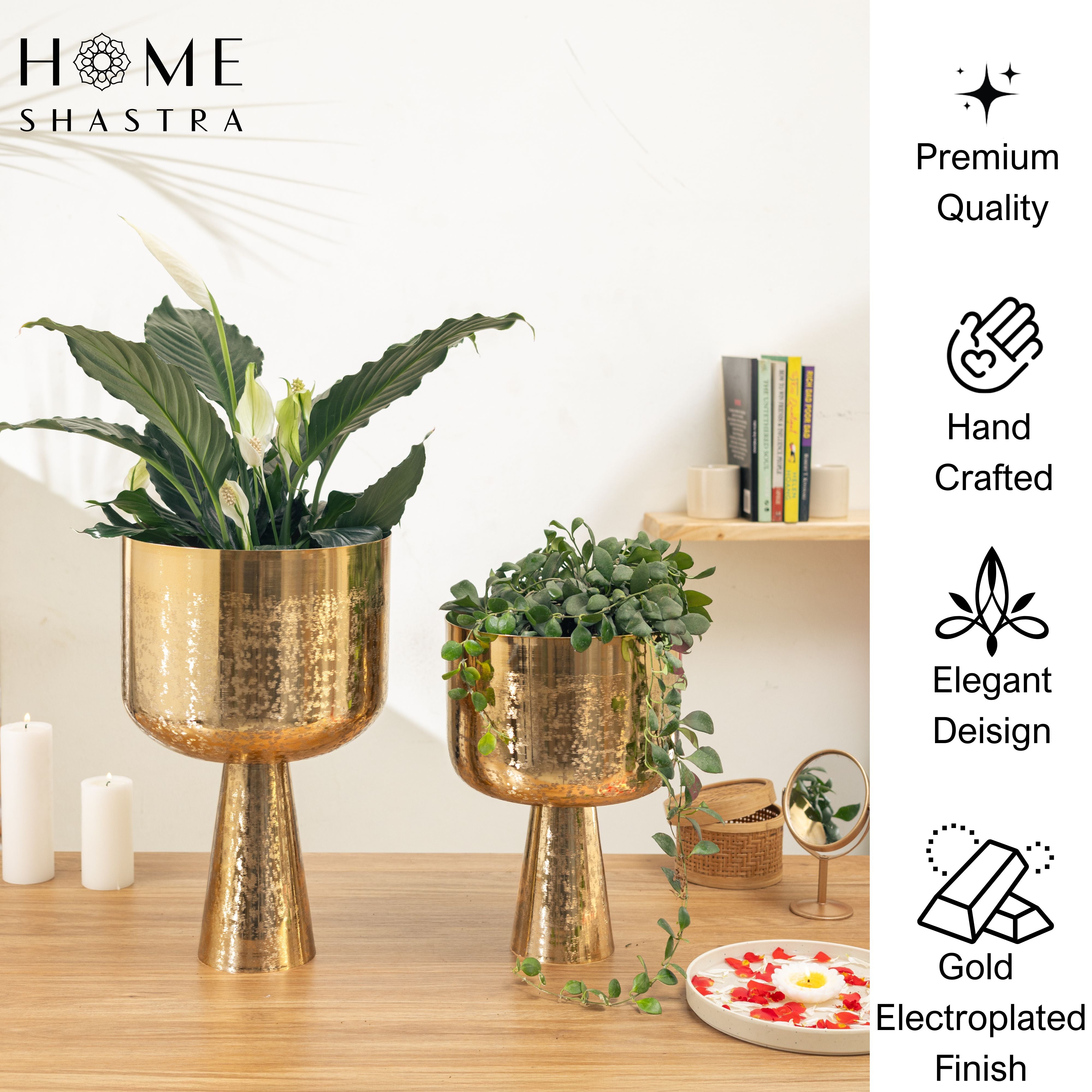 Aureme Gold (Set of 2)