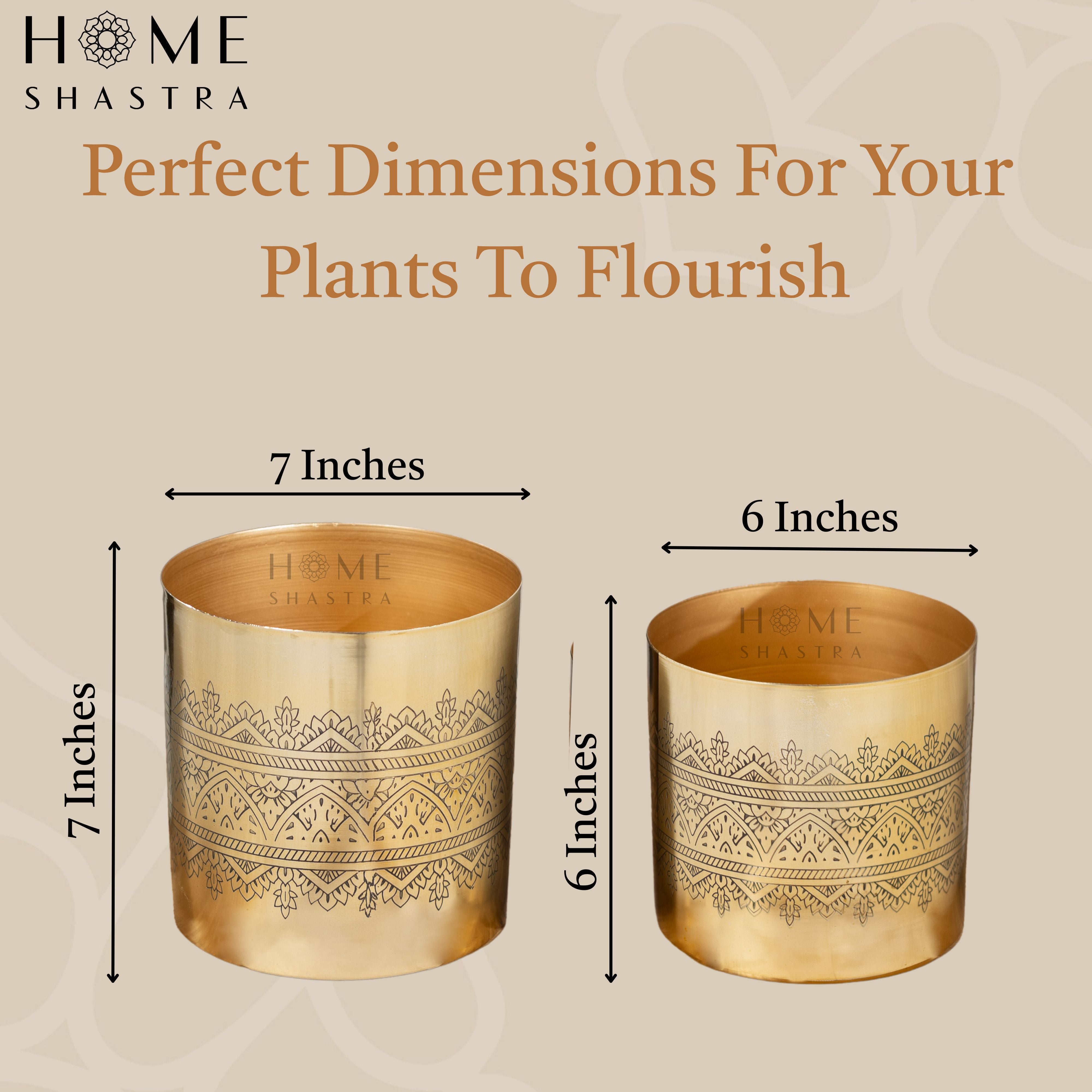 Swar Gold (Set of 2)