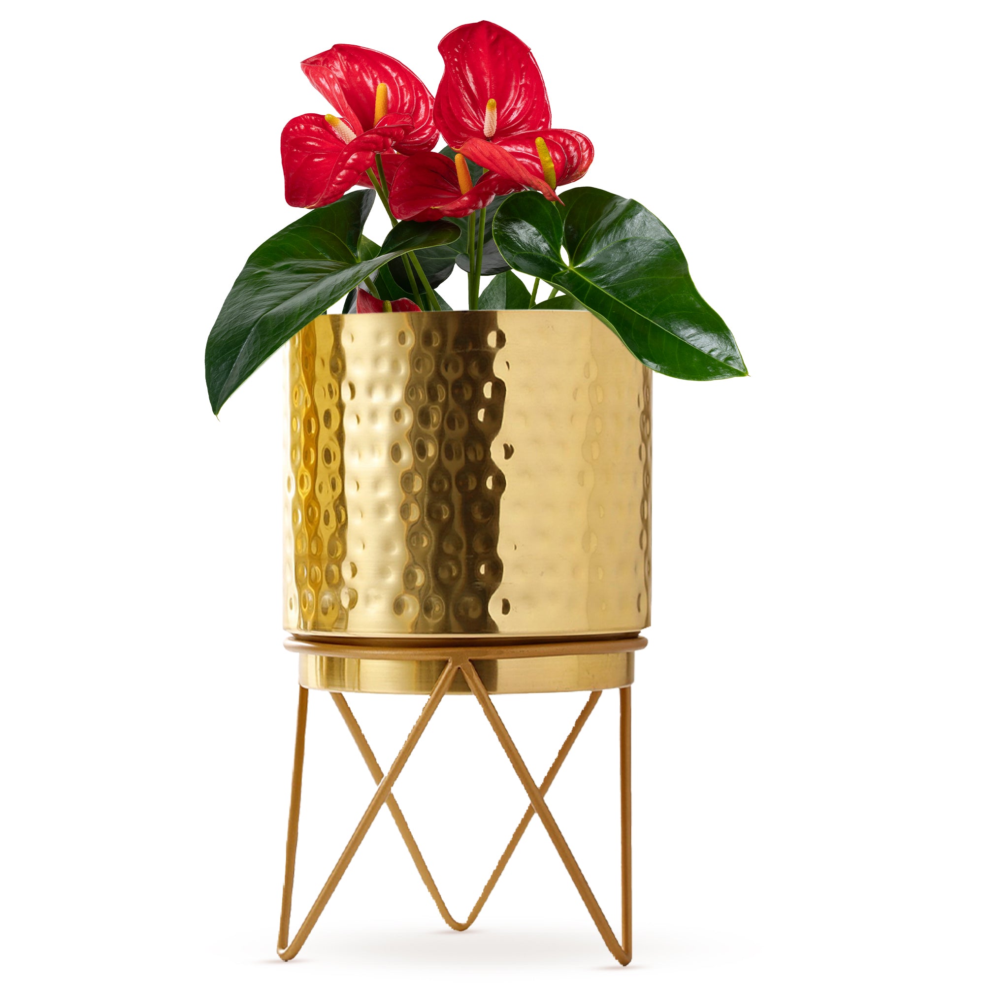 Elle Gold Hammered Planter (Pack Of 1)