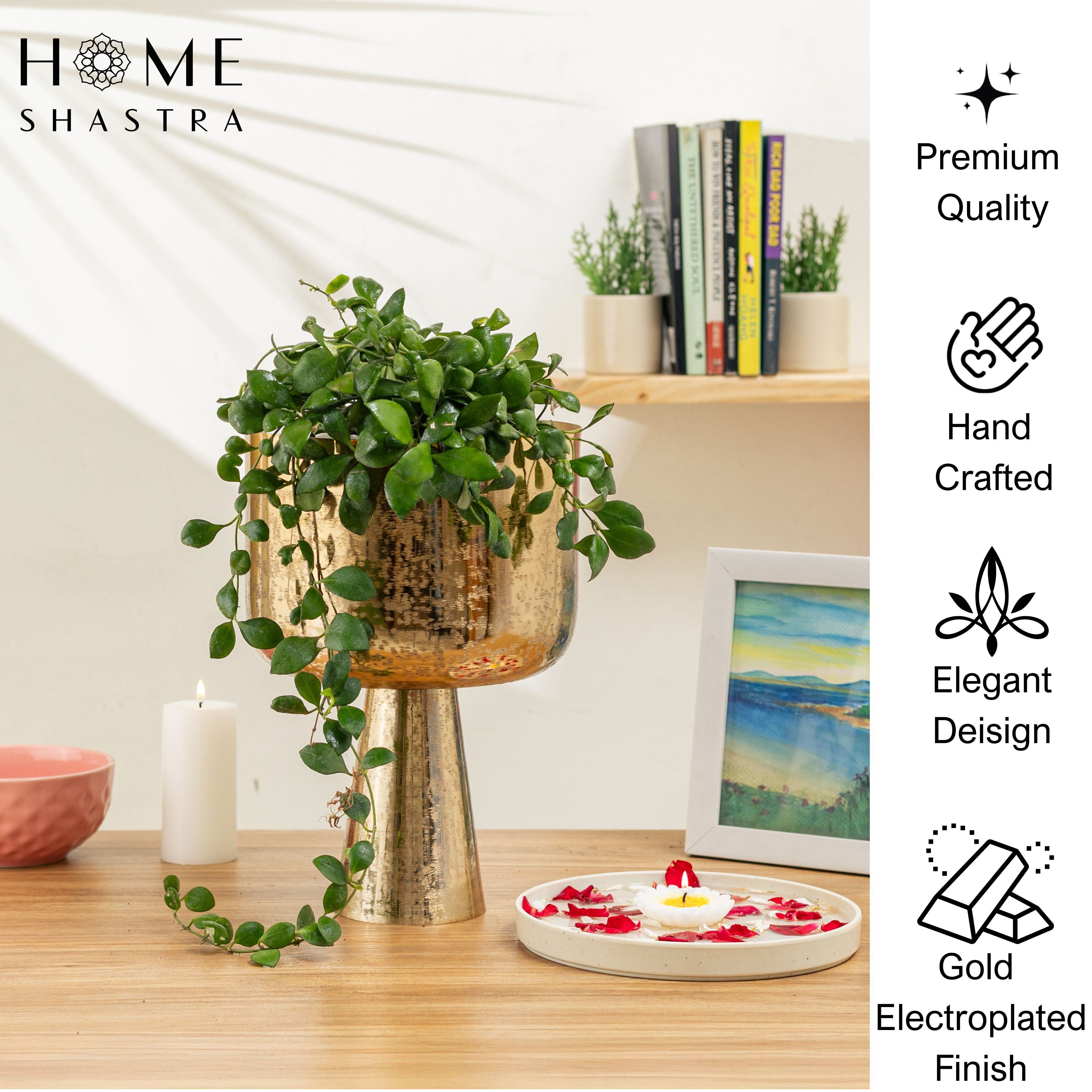 Small Aureme Gold (Pack of 1)