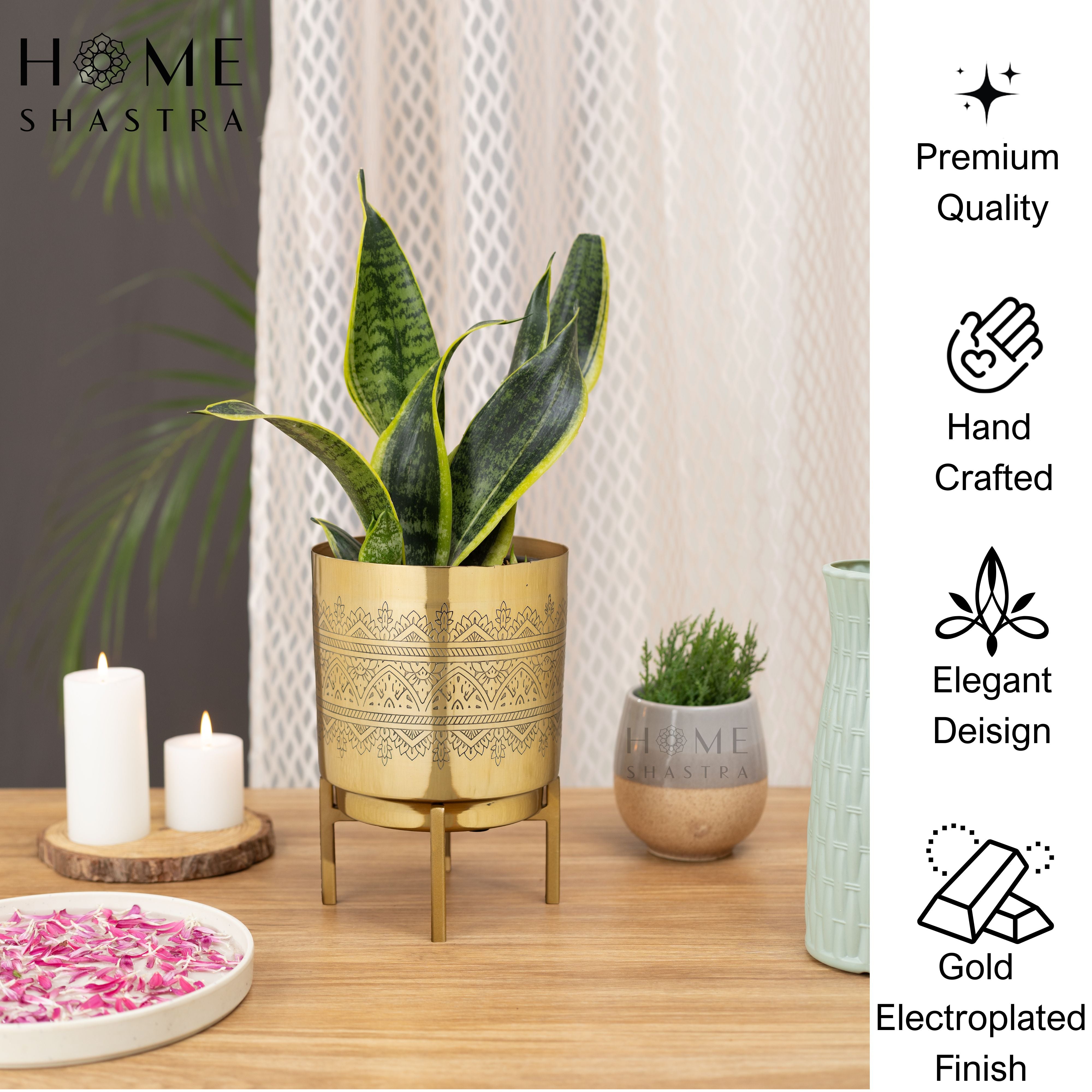 Small Raaga Gold (Pack of 1)