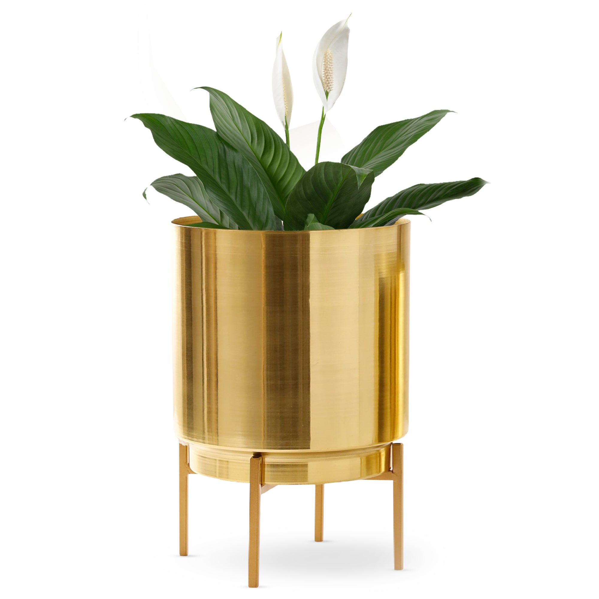 Ember Gold Planter (Pack Of 1)