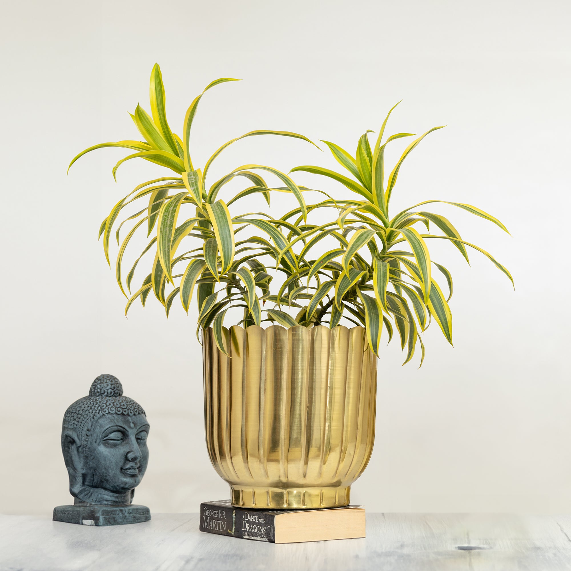 Coral Gold Planter (Pack Of 1)