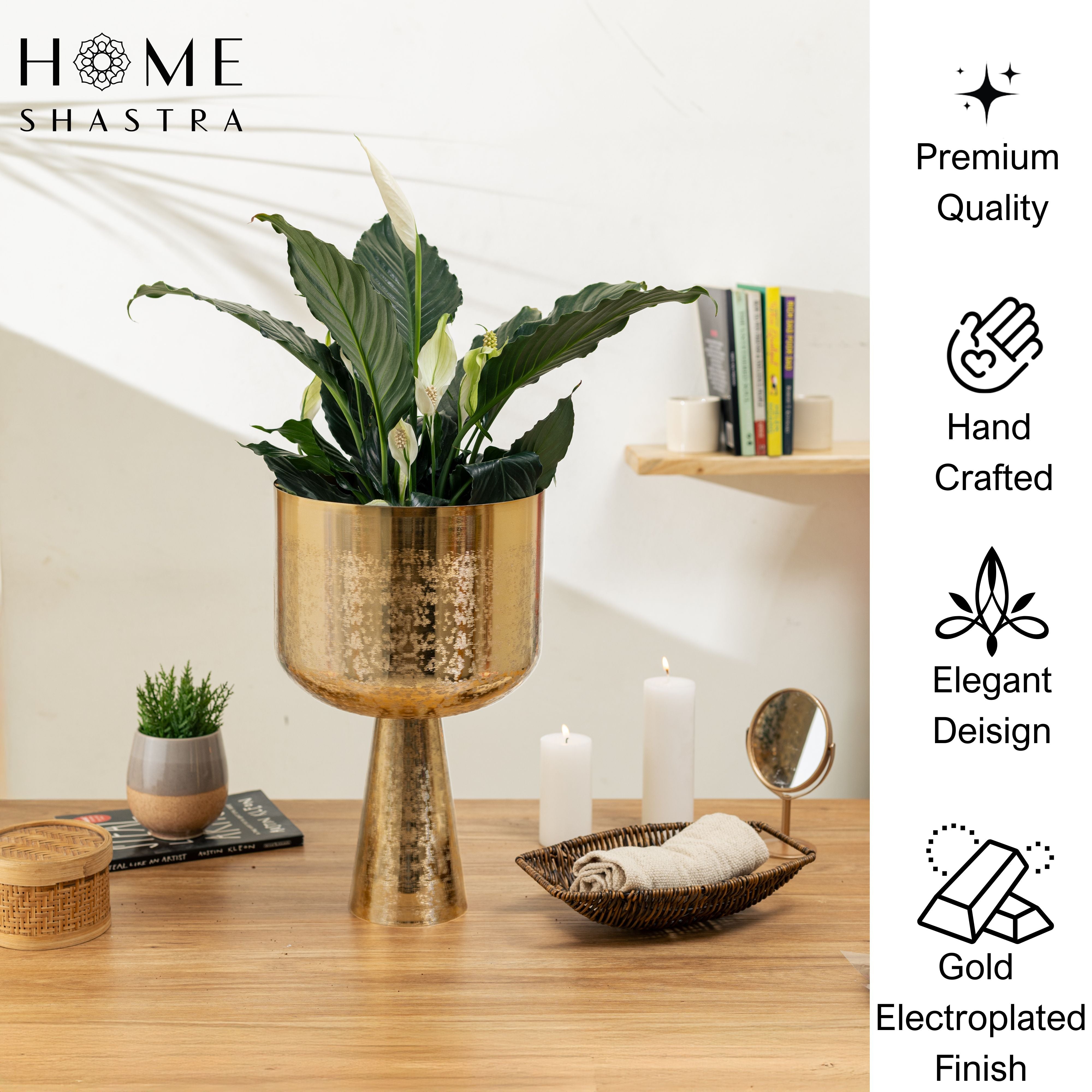 Big Aureme Gold (Pack of 1)