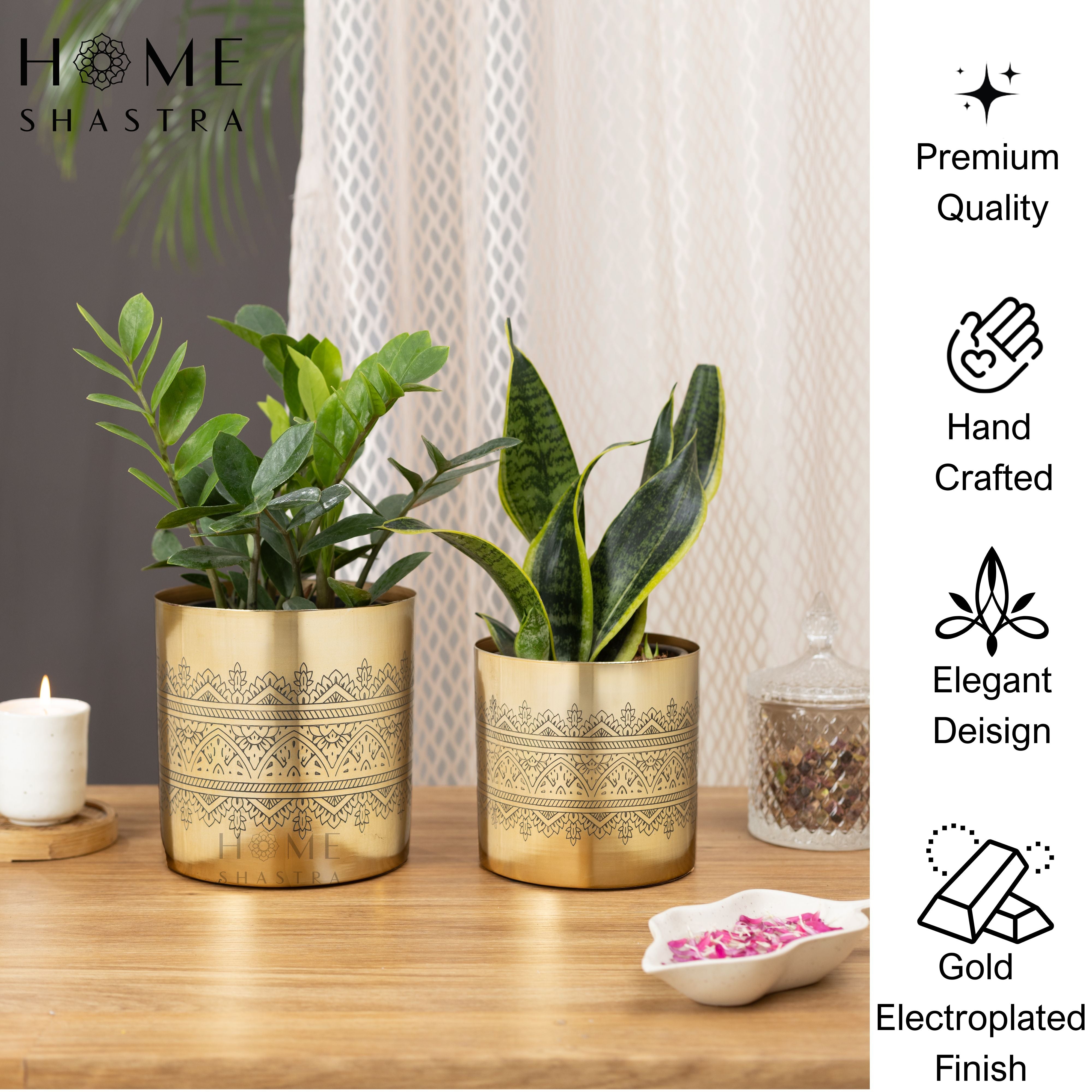 Swar Gold (Set of 2)