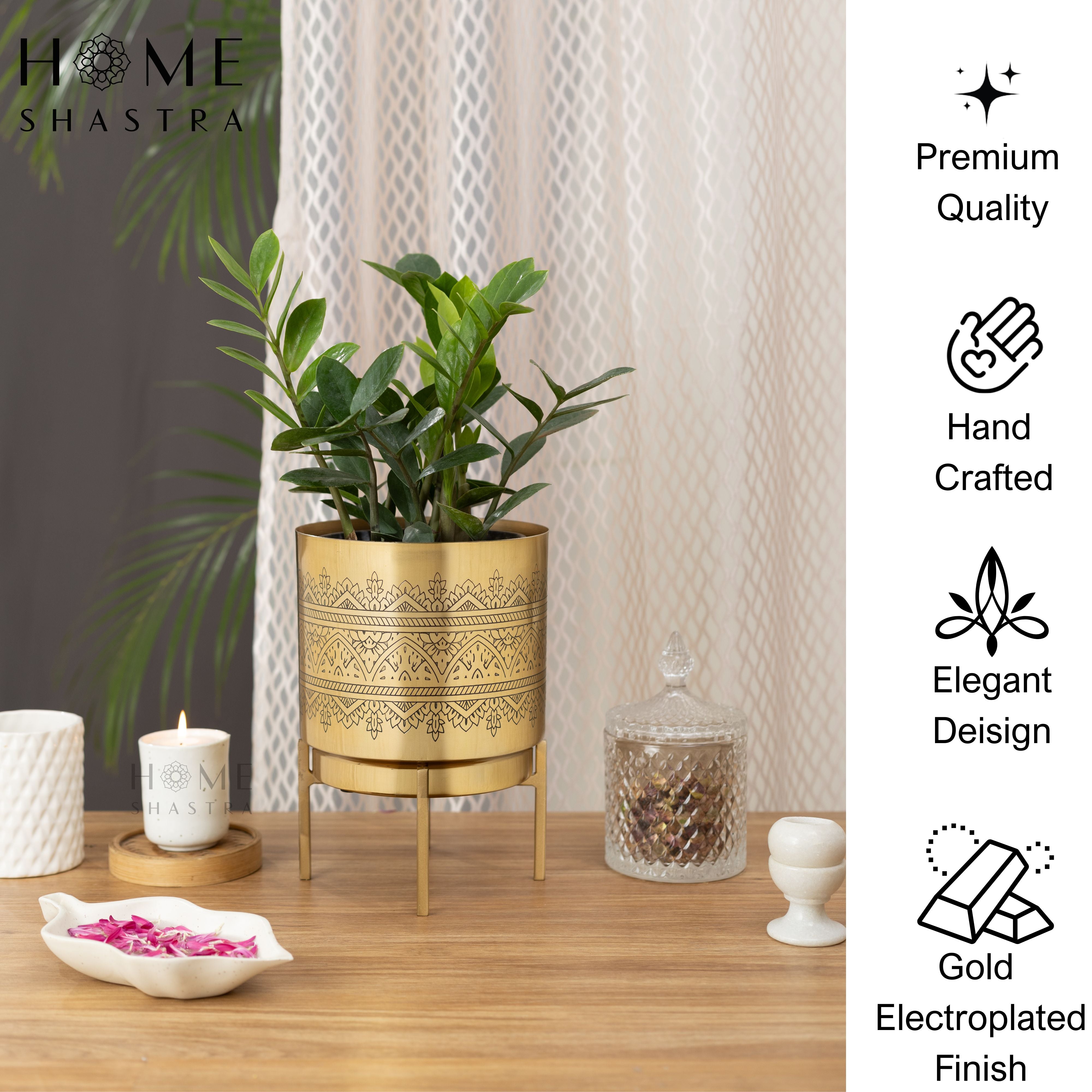 Big Raaga Gold (Pack of 1)