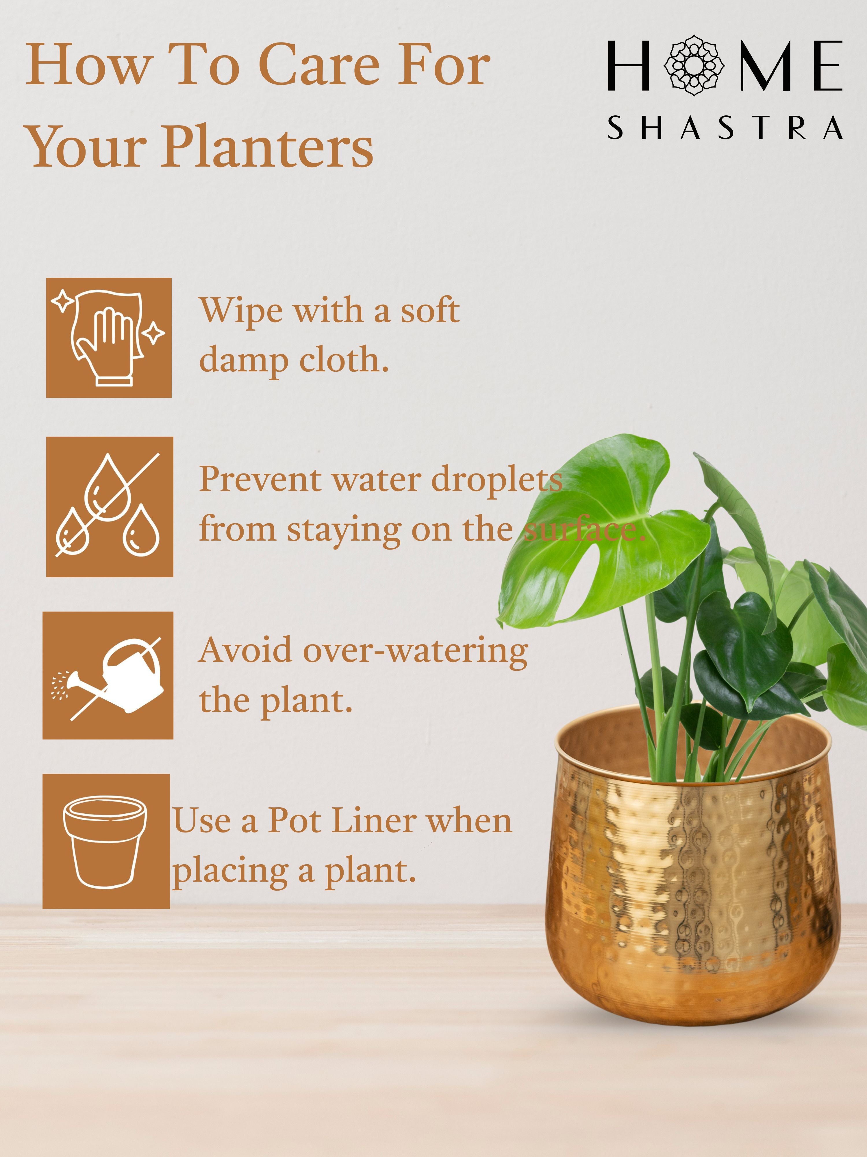 Auric Gold (Pack of 1)