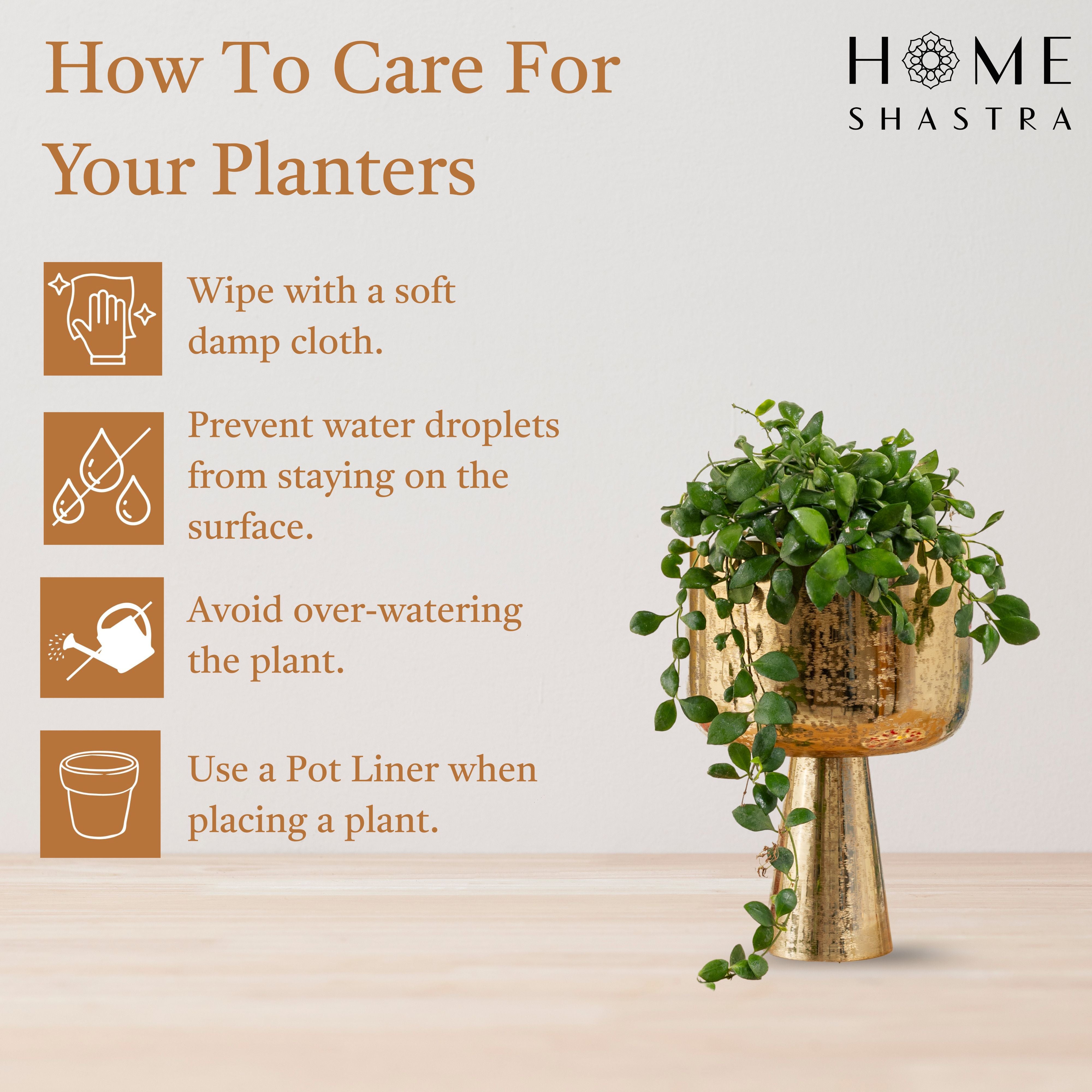 Small Aureme Gold (Pack of 1)