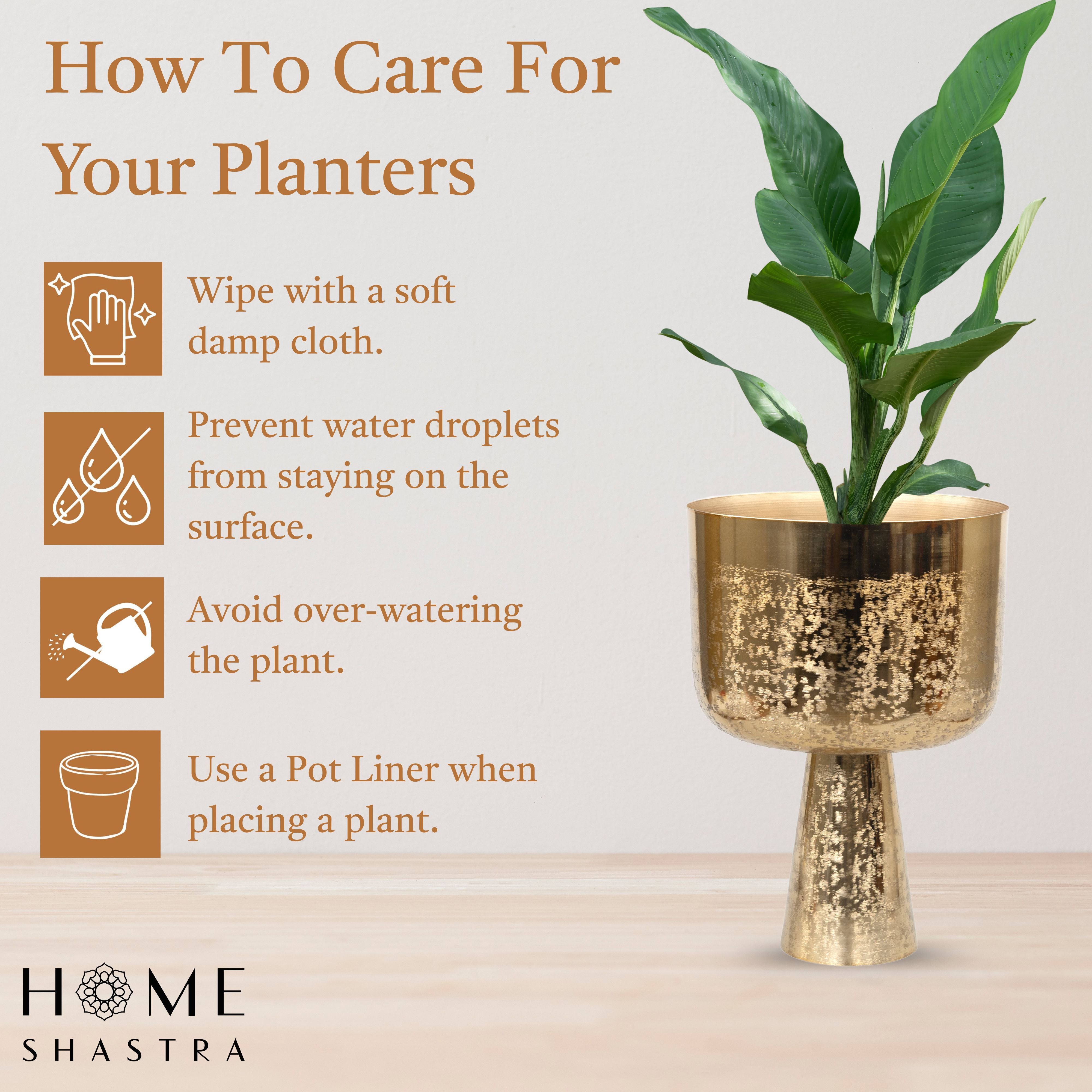 Aureme Gold (Set of 2)