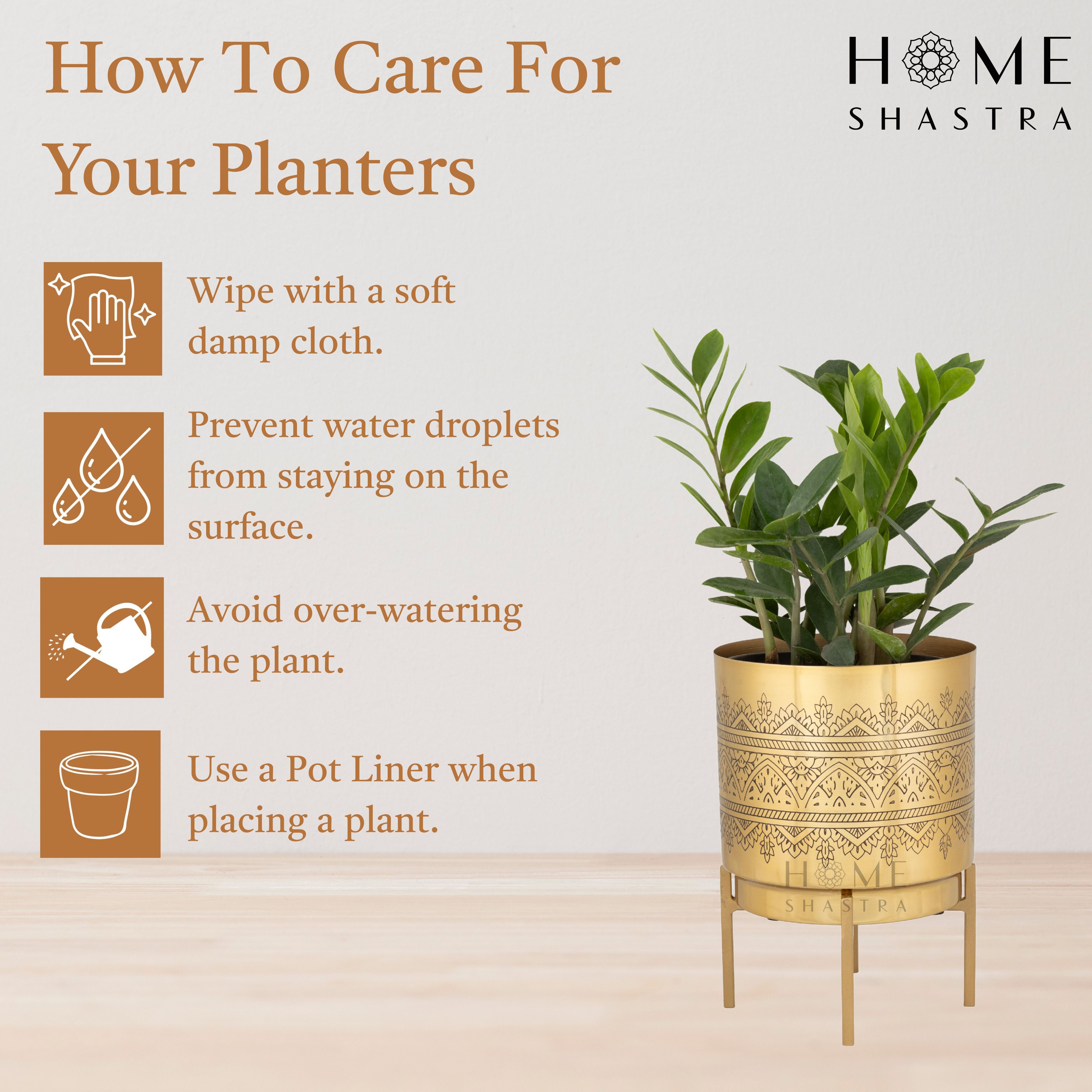 Small Raaga Gold (Pack of 1)