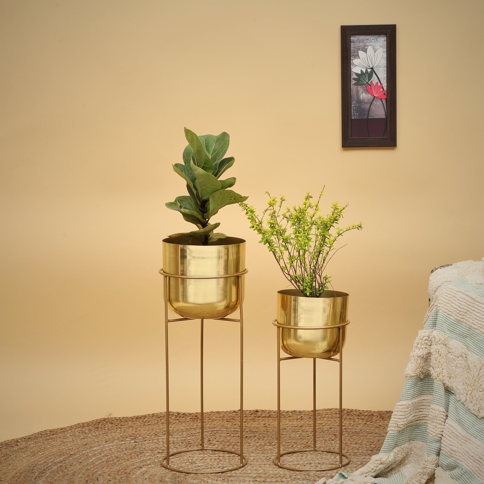 Allura Gold Set Planter (Set of 2)