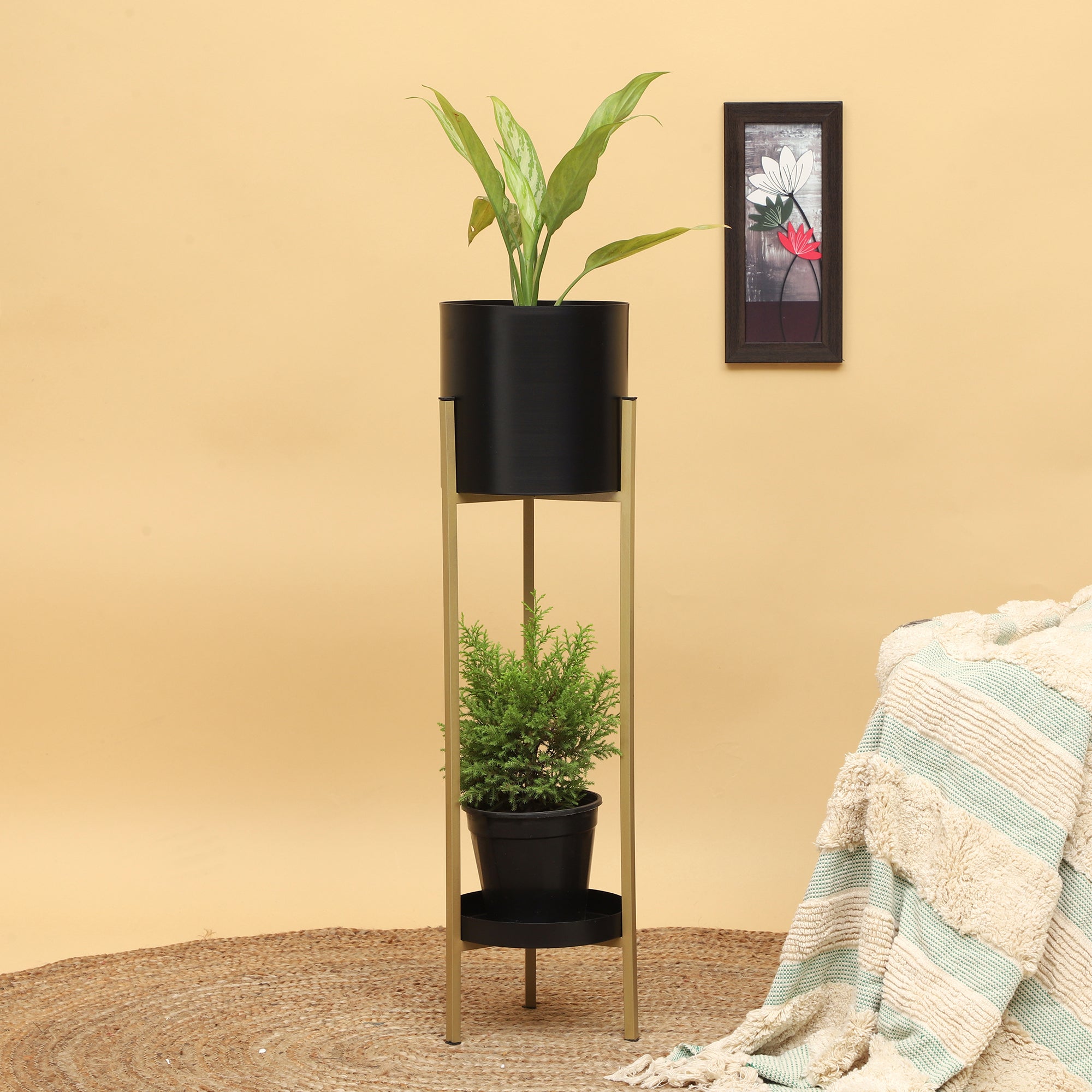 Orion Black Planter