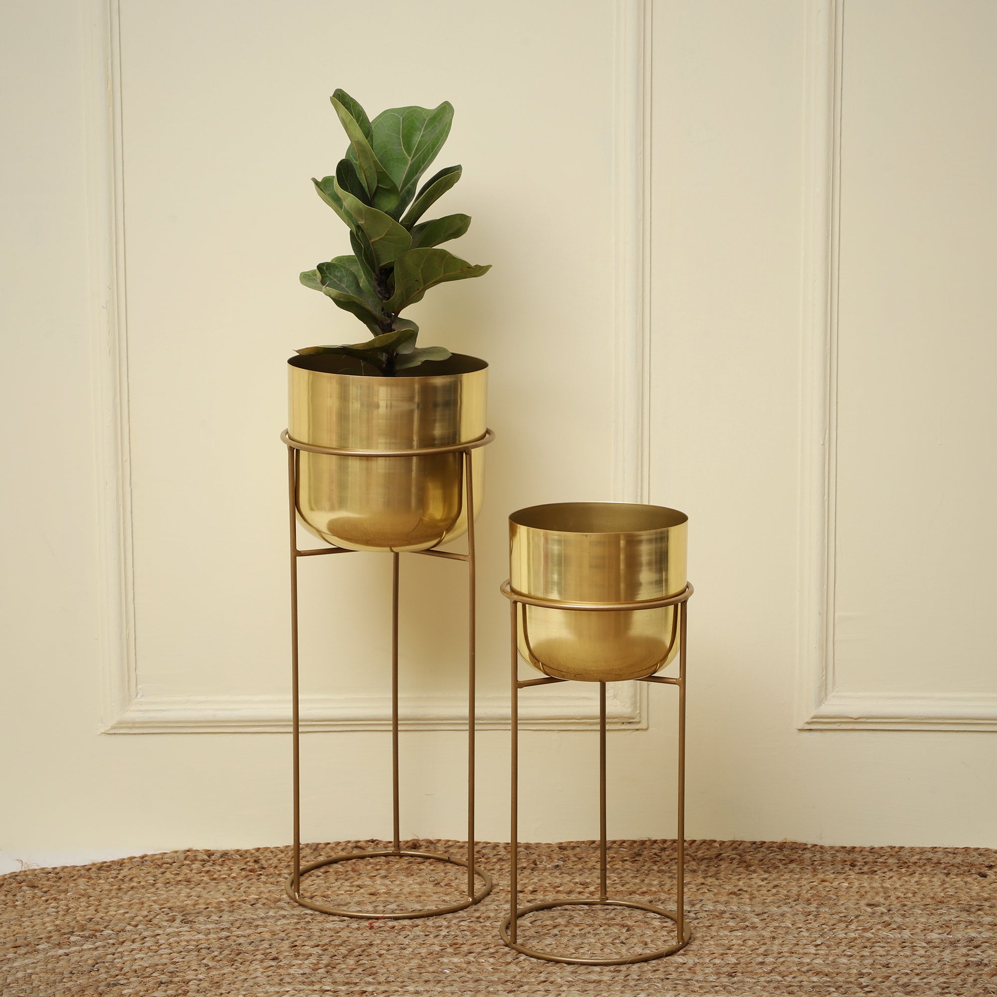 Allura Gold Set Planter (Set of 2)