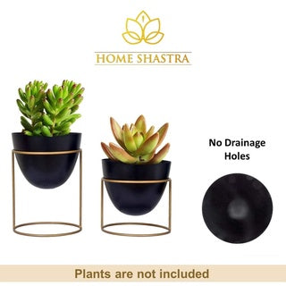 Ovate Black Planters (Pack of 2)