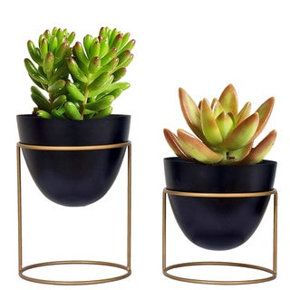 Ovate Black Planters (Pack of 2)