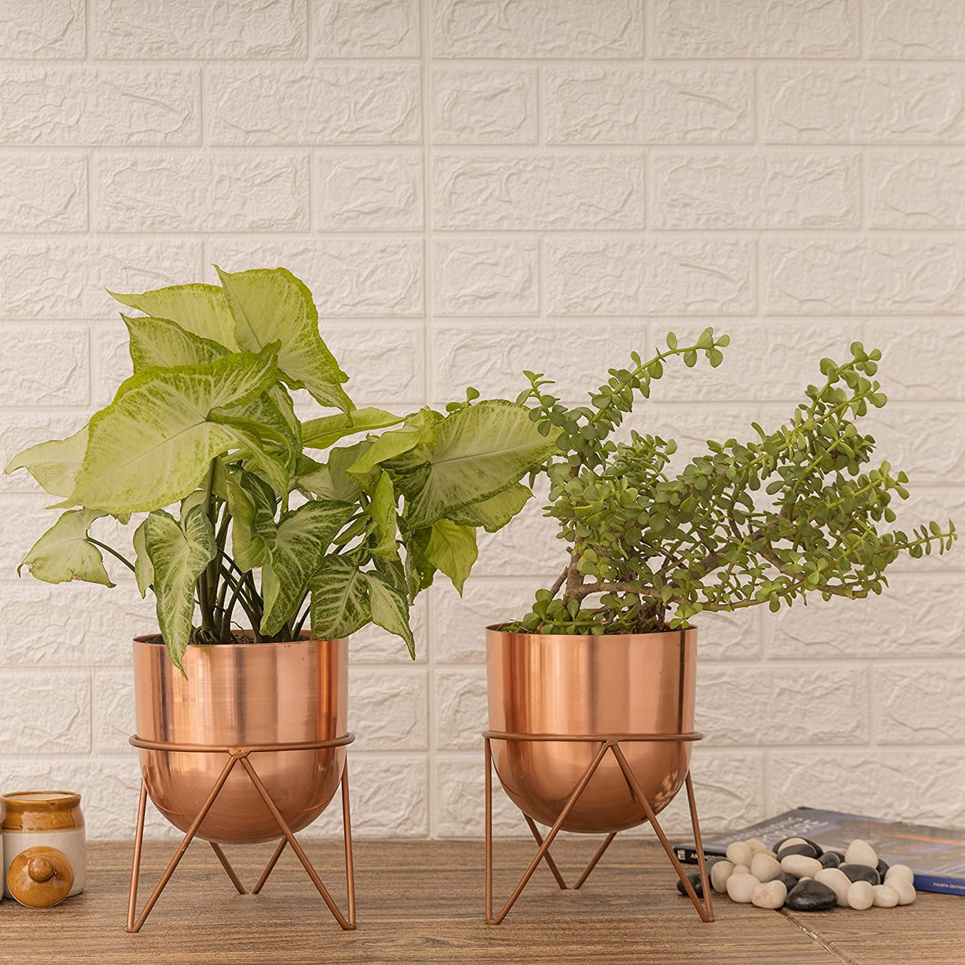rose gold indoor planter Zig Zag Rose Gold Combo Planters (Pack of 2) – HomeShastra