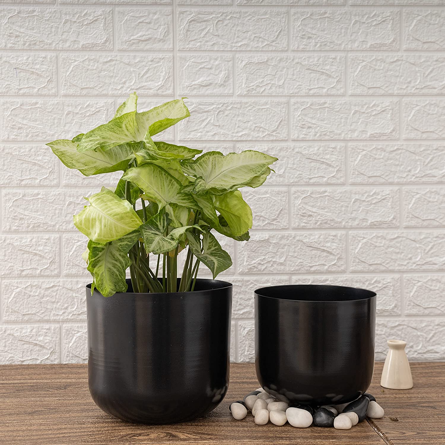 Luxe Black Planters