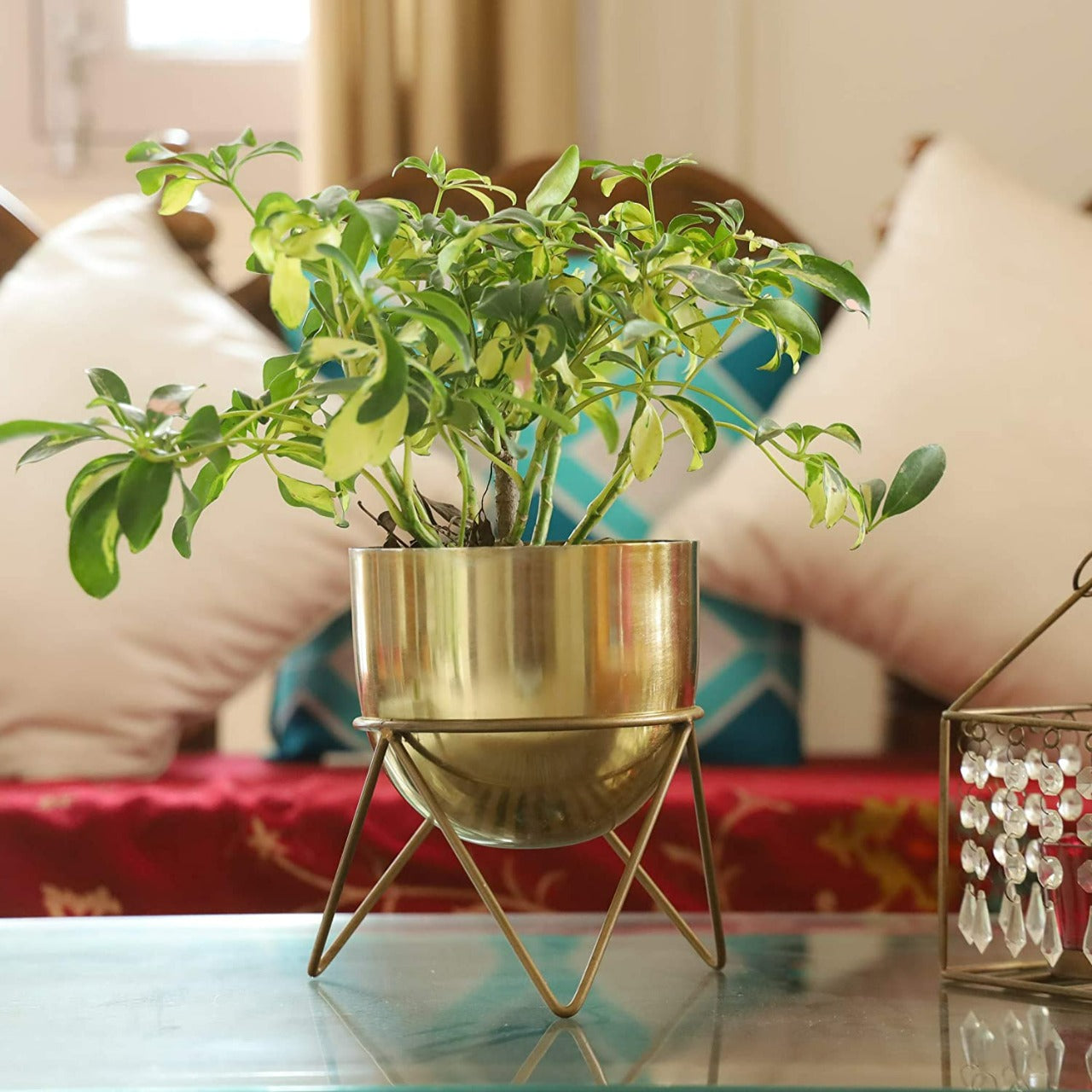 Zig Zag Gold Planter (Pack of 1)