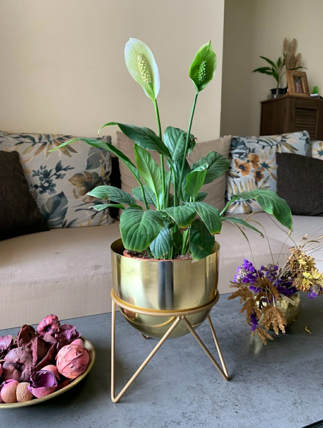 Zig Zag Gold Planter (Pack of 1)