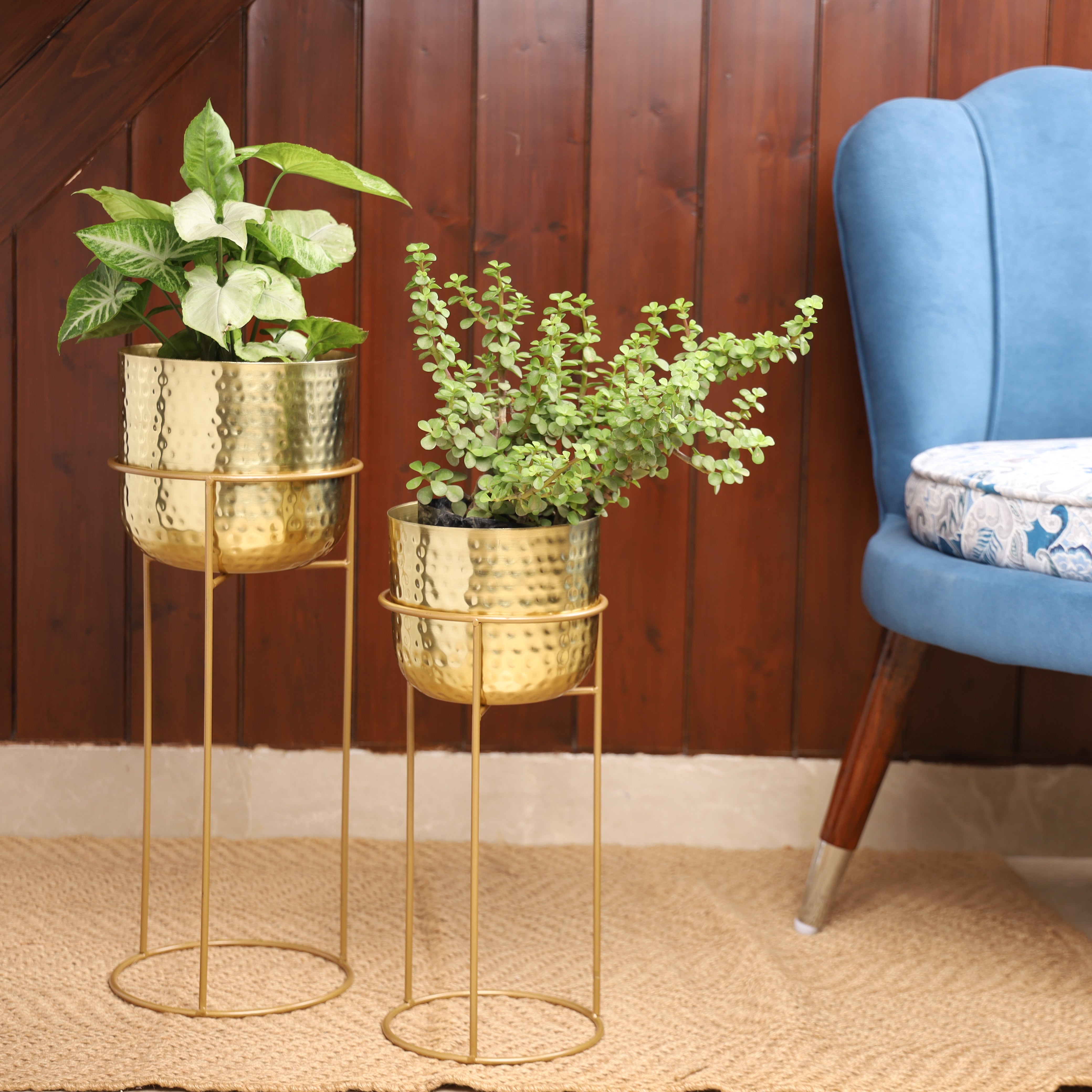 Allura Gold Hammered Set Planter (Set of 2)