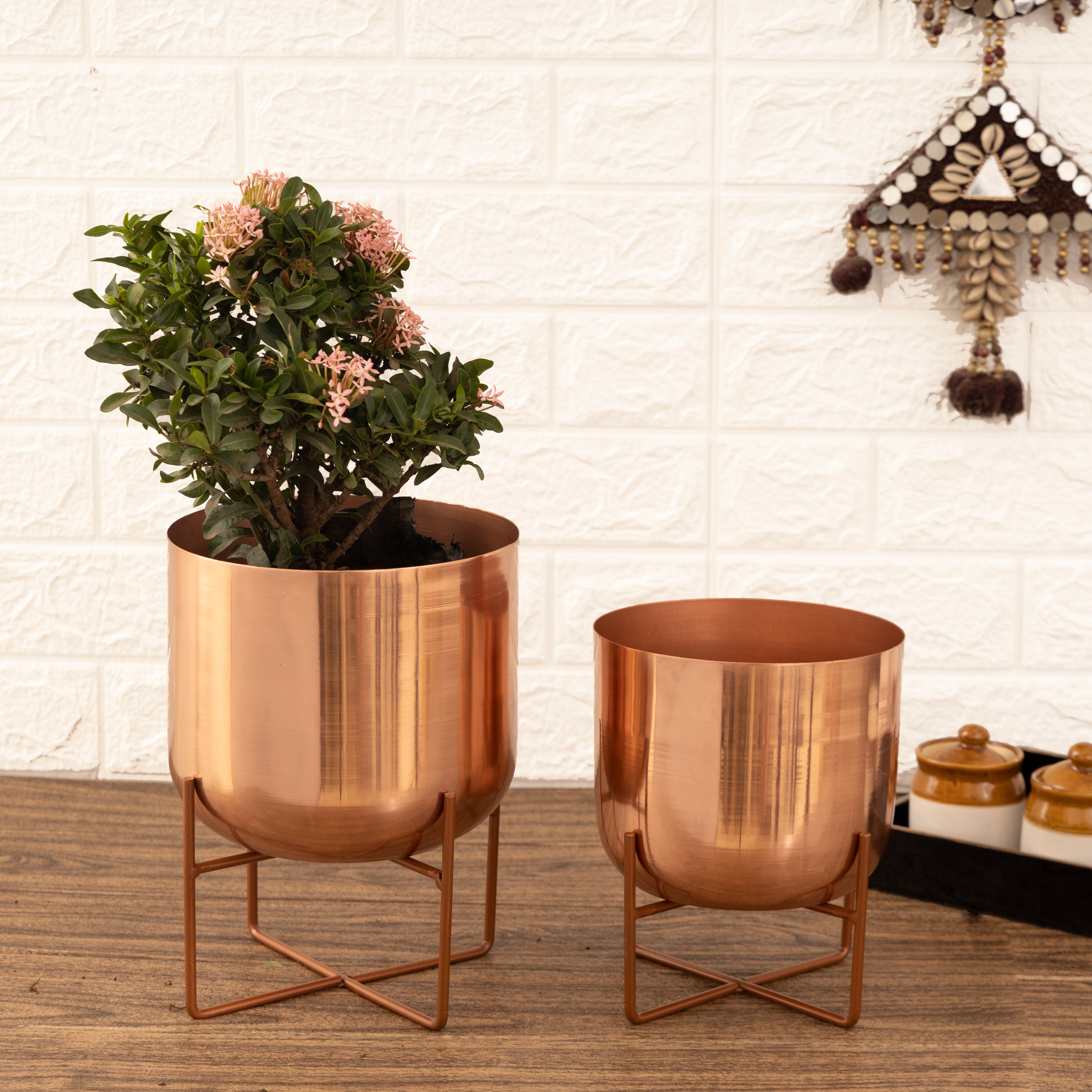 Olive Rose Gold Planters (Pack of 2)