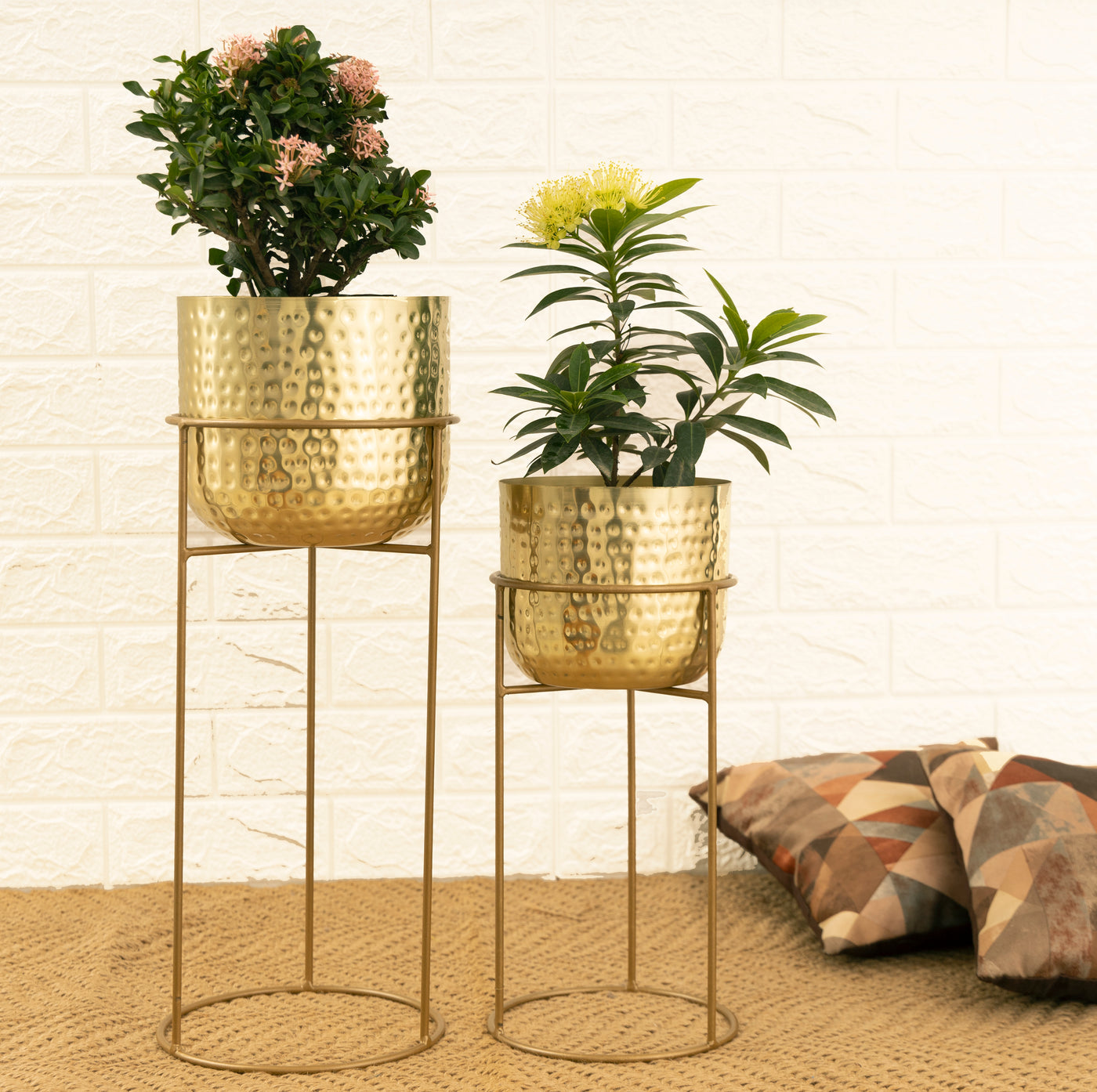 hammered gold plant pot Allura Gold Hammered Set Planter (Set of 2) – HomeShastra